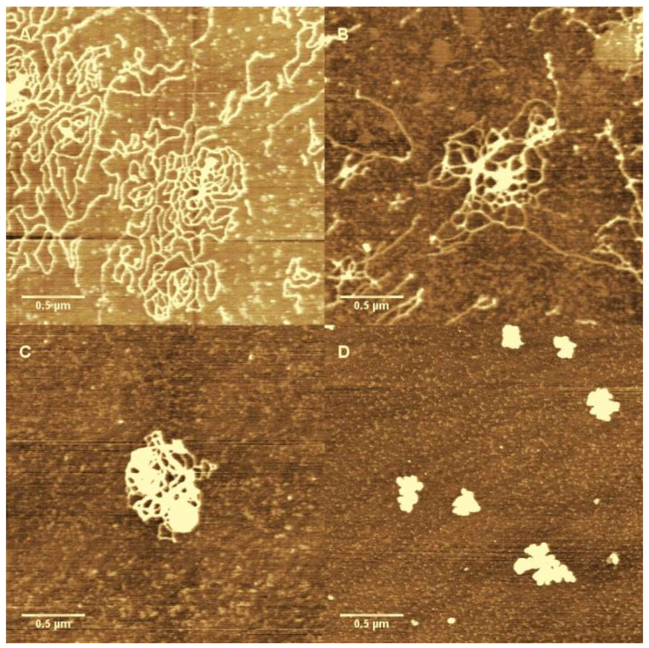 Polymers 10 00394 g008
