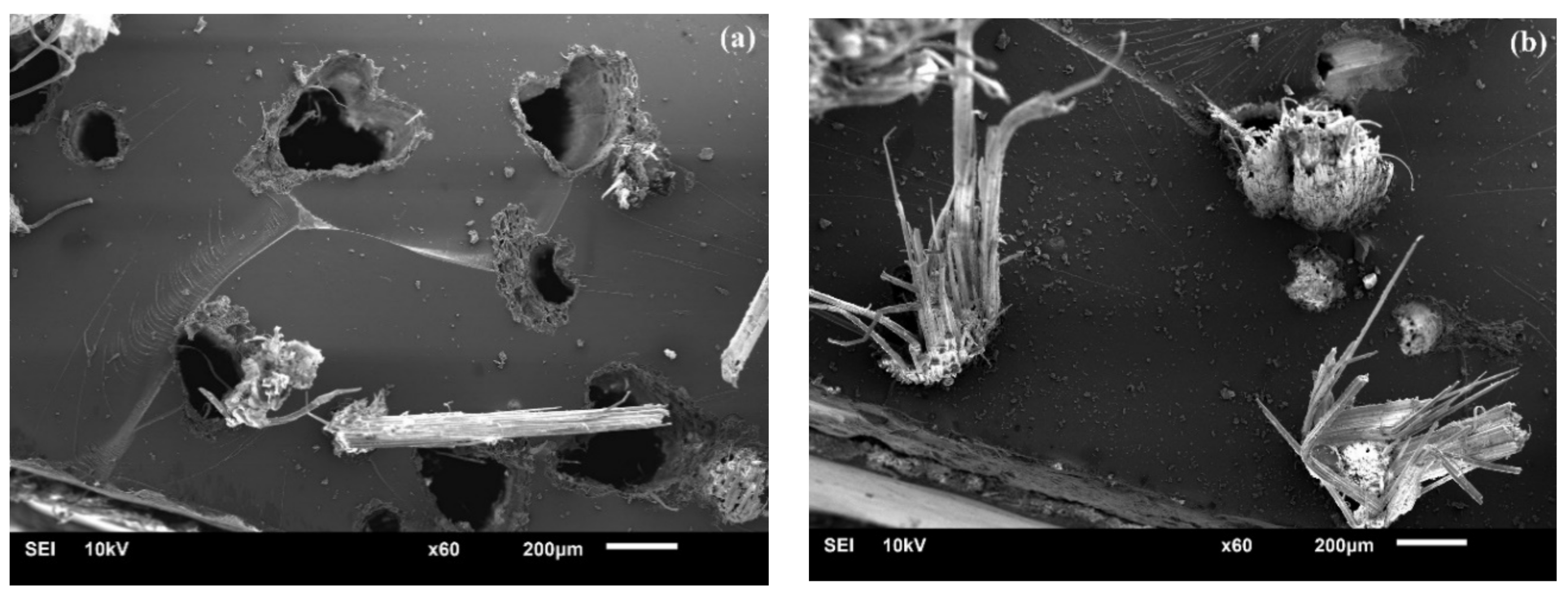 Polymers 10 00401 g005