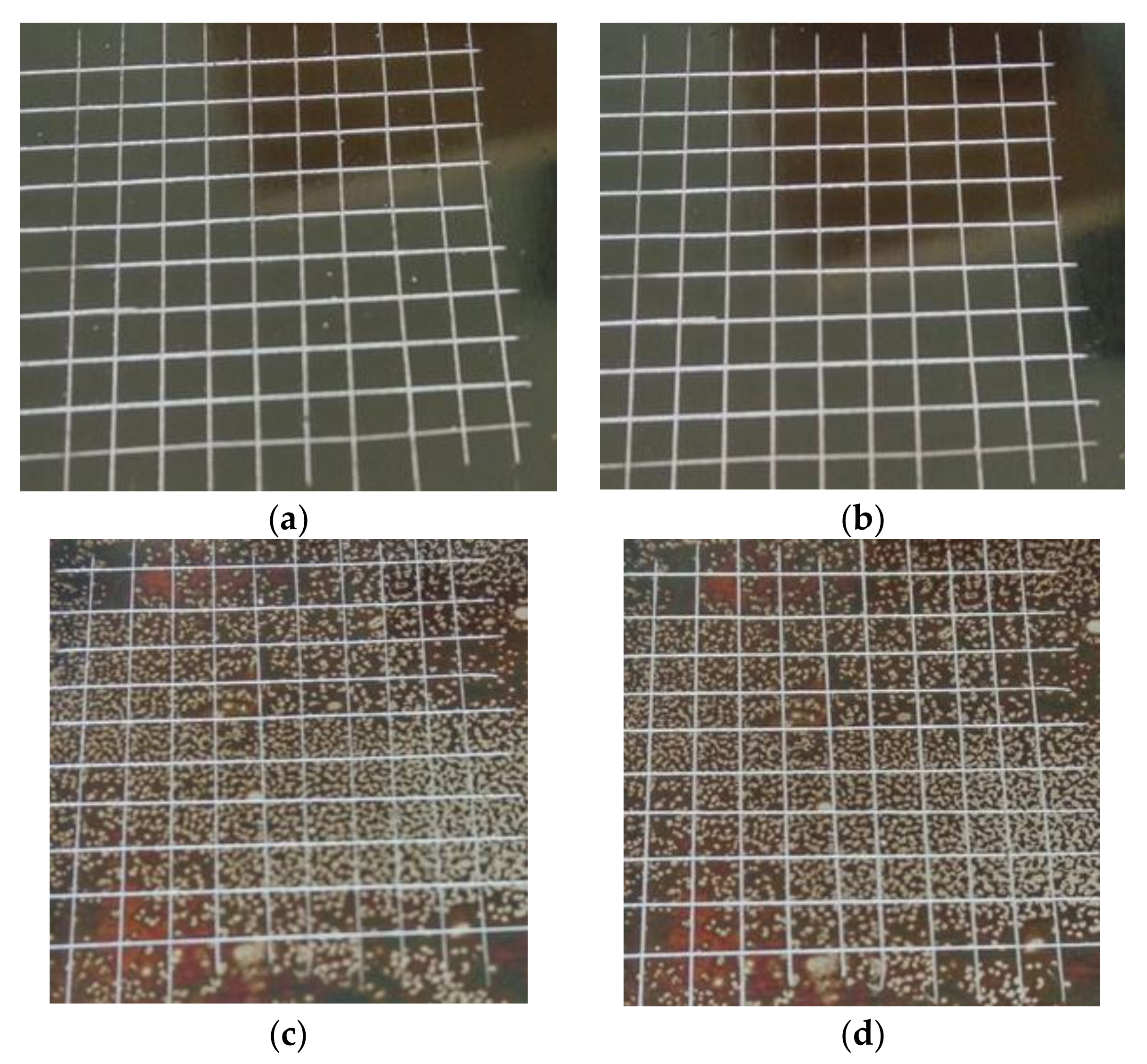 Polymers 10 00402 g023 Polymers 10 00402 g023