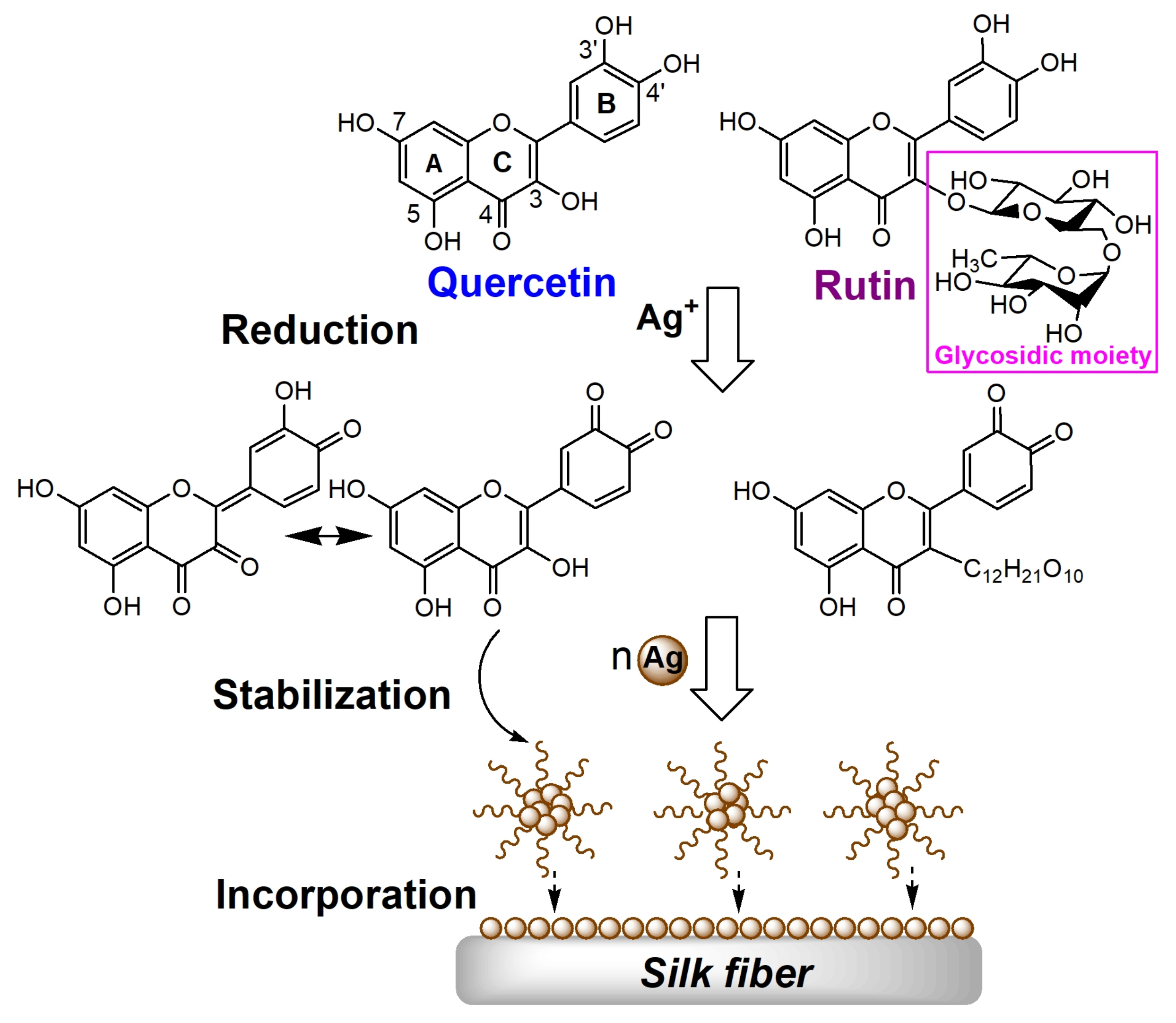Polymers 10 00404 g001