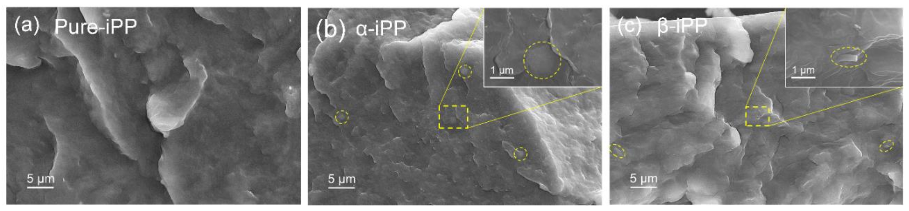 Polymers 10 00406 g004
