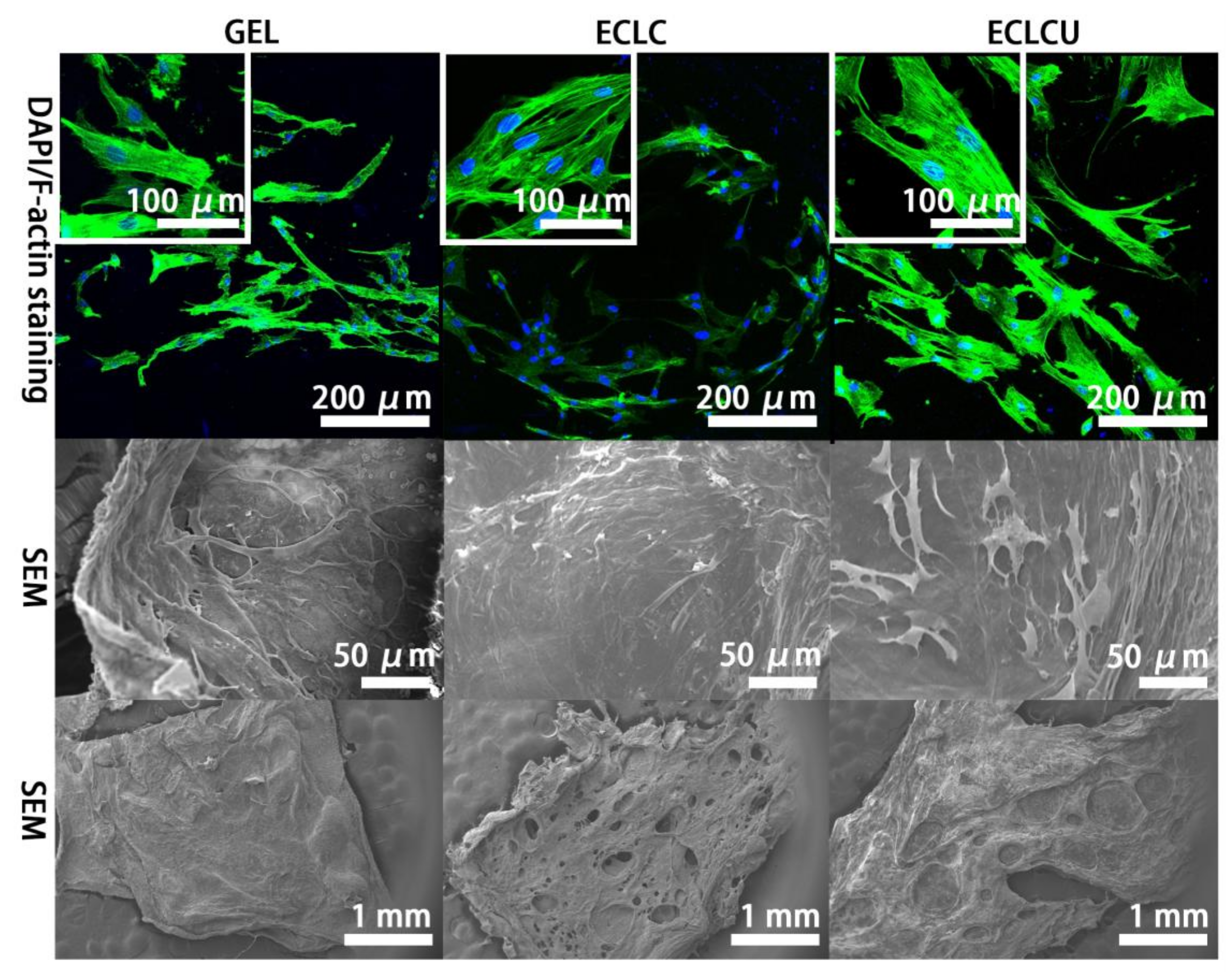 Polymers 10 00415 g008