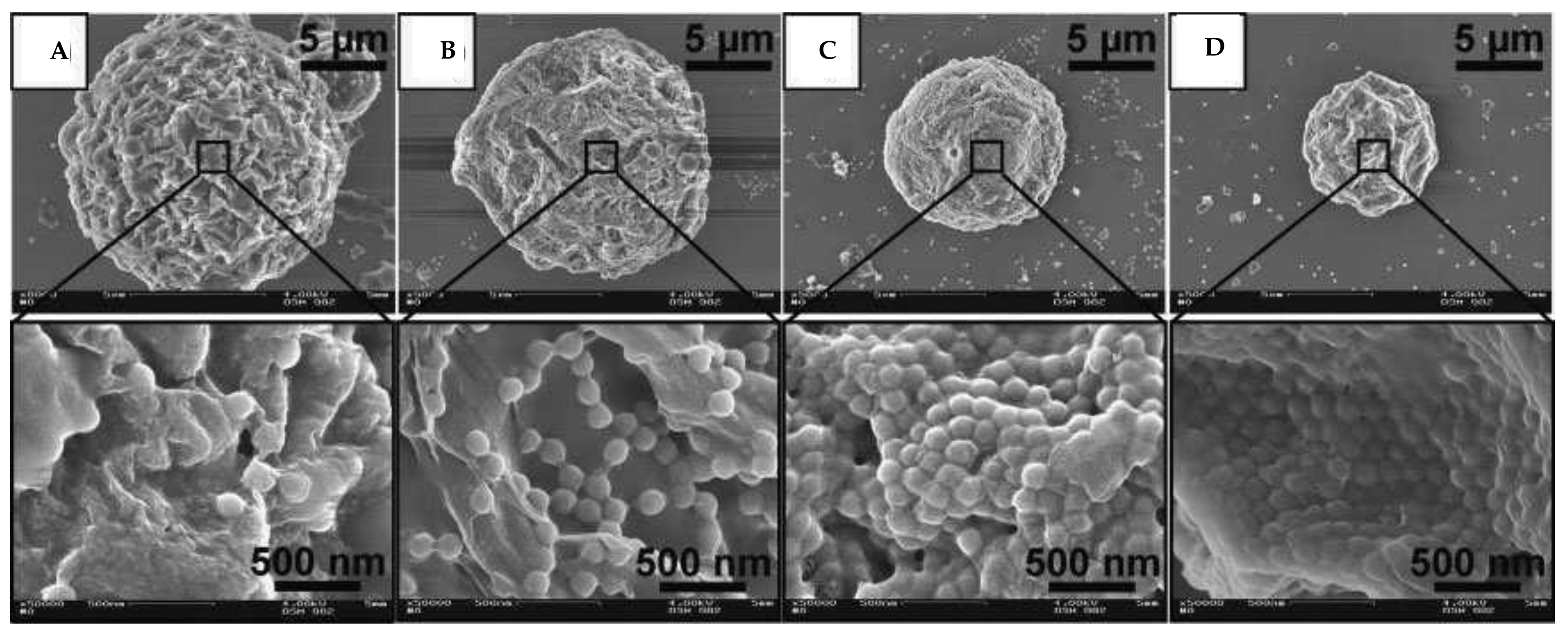 Polymers 10 00418 g007