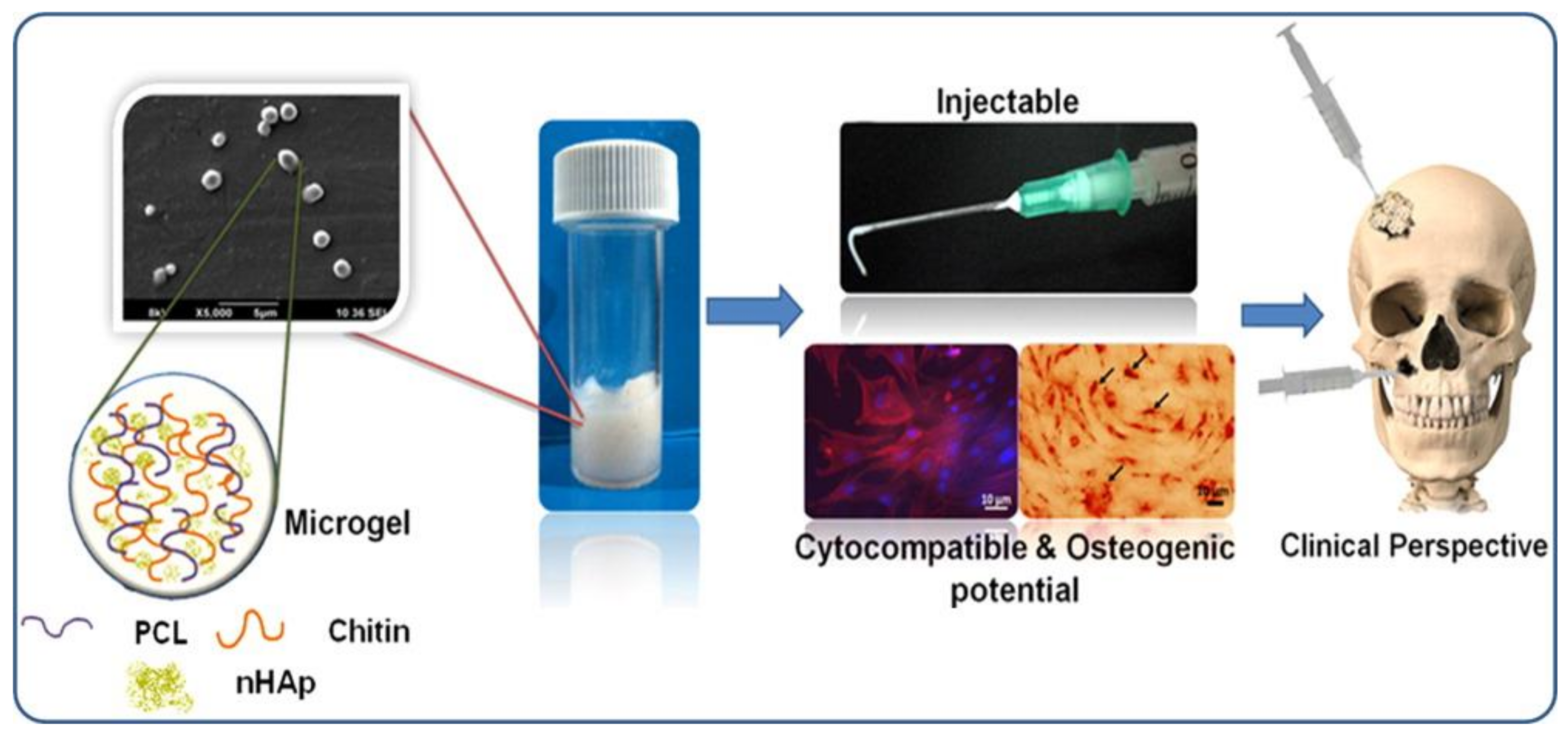 Polymers 10 00418 g012
