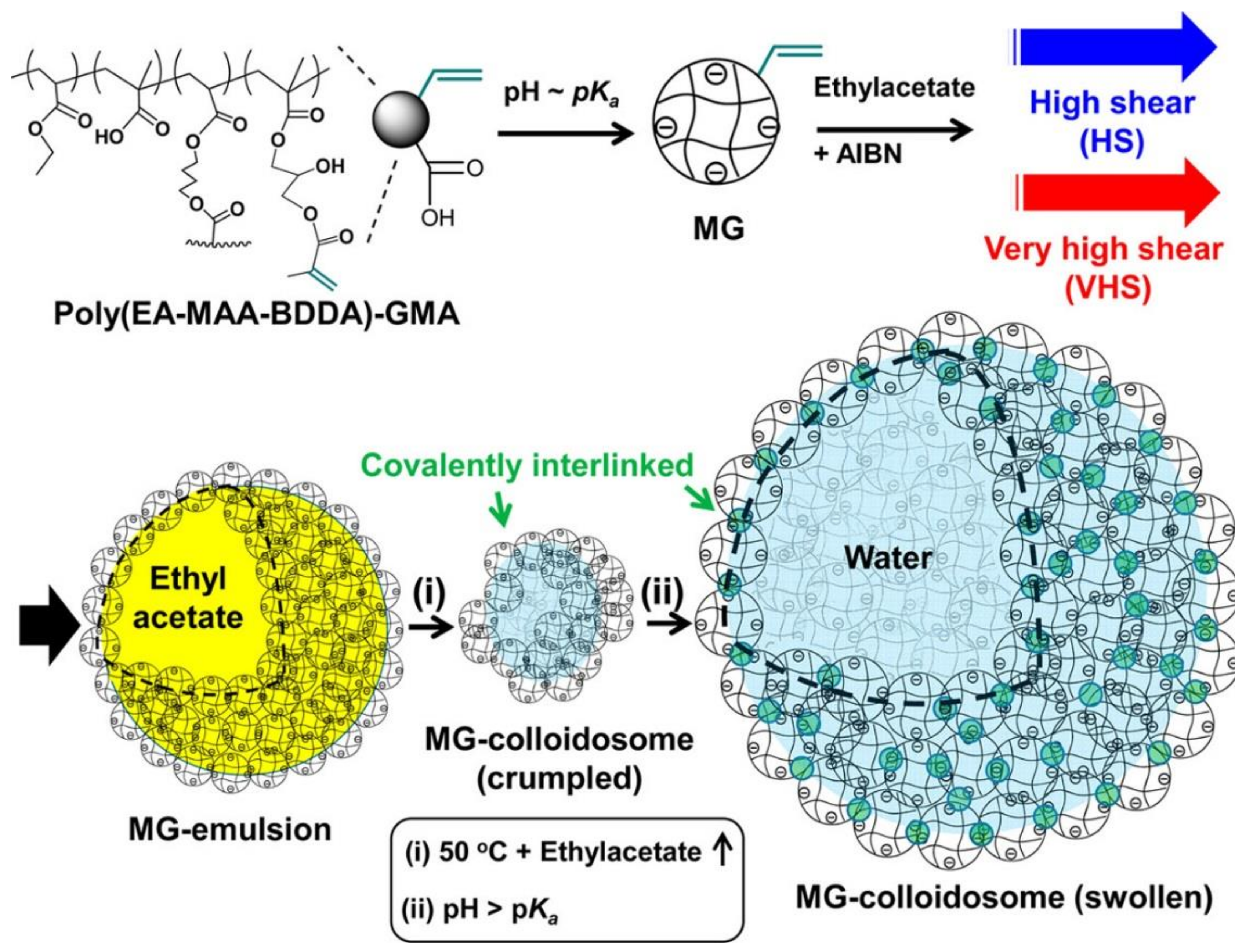 Polymers 10 00418 sch003