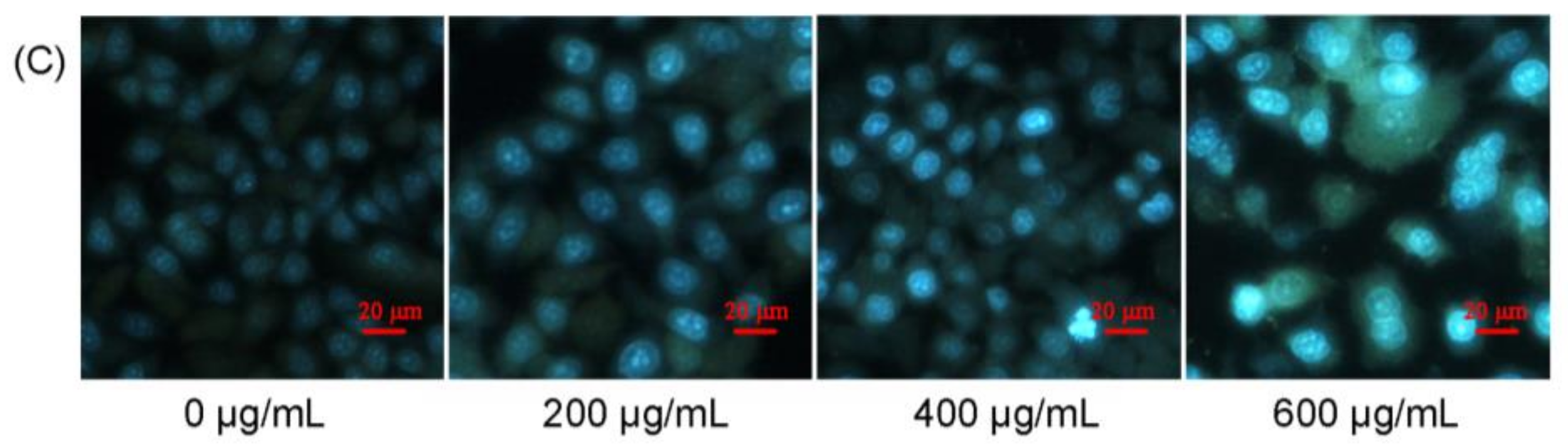 Polymers 10 00430 g005b