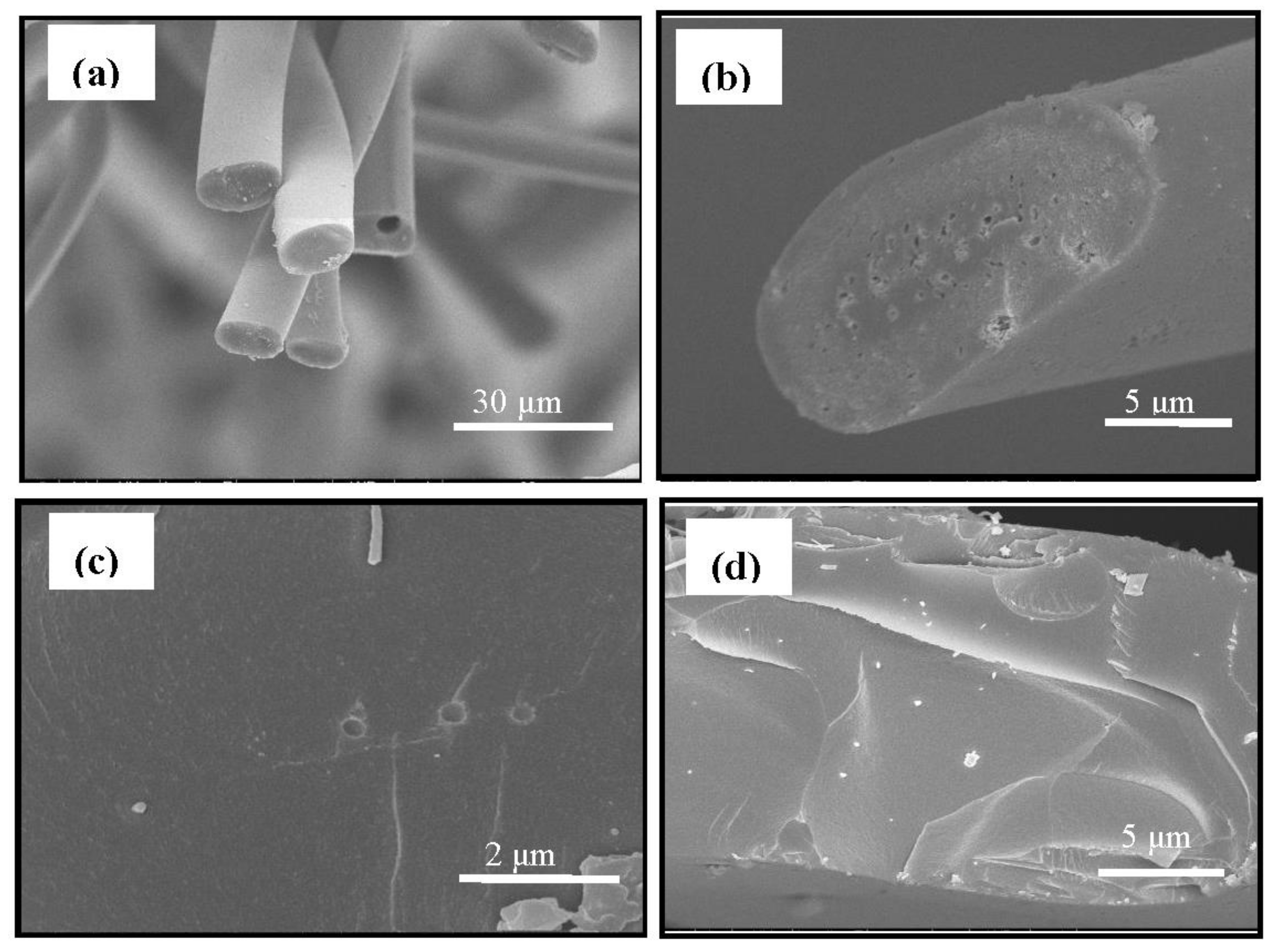 Polymers 10 00435 g003