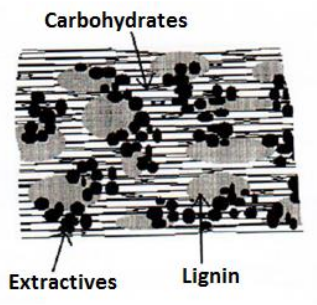 Polymers 10 00440 g003