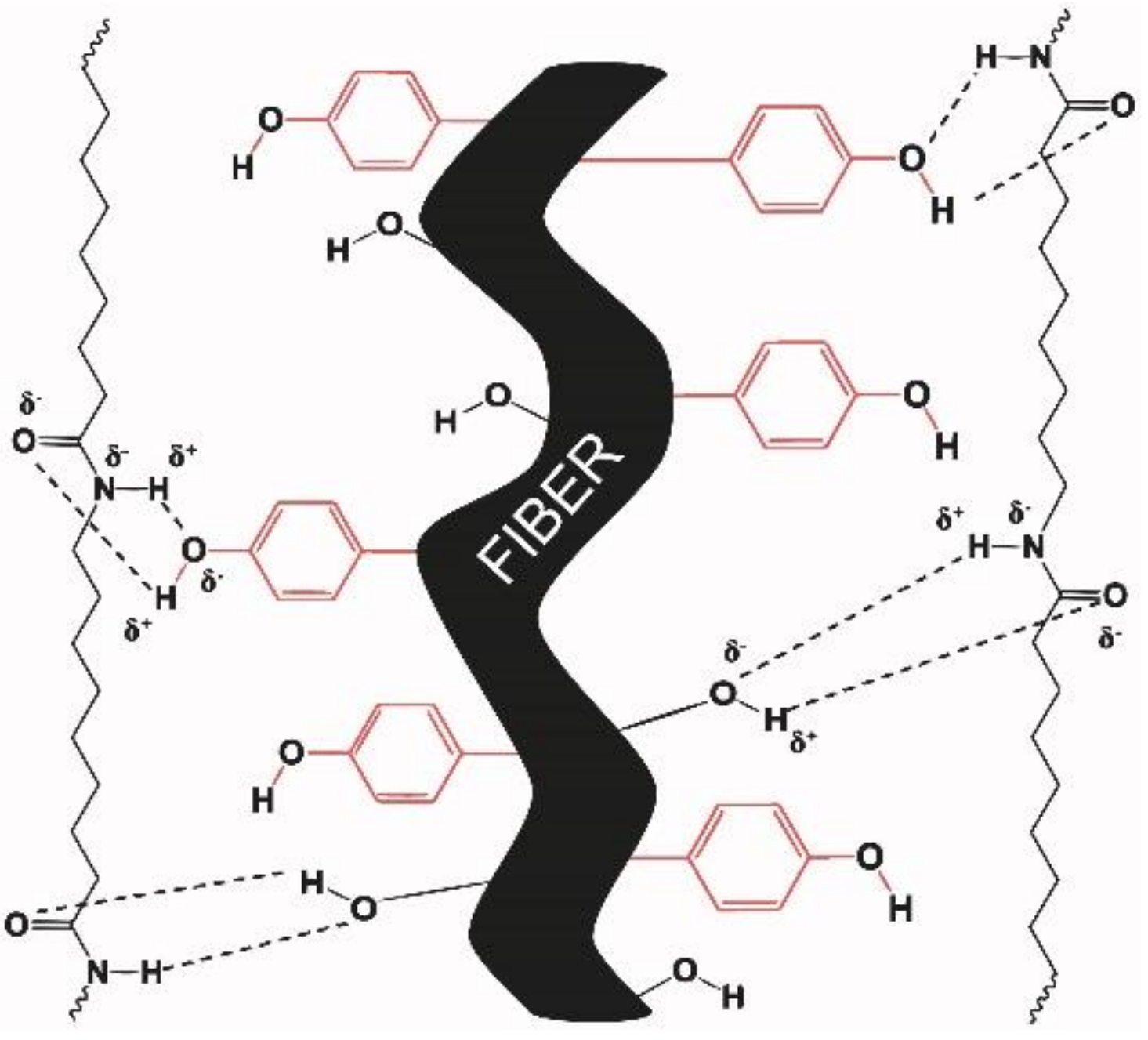 Polymers 10 00440 g004