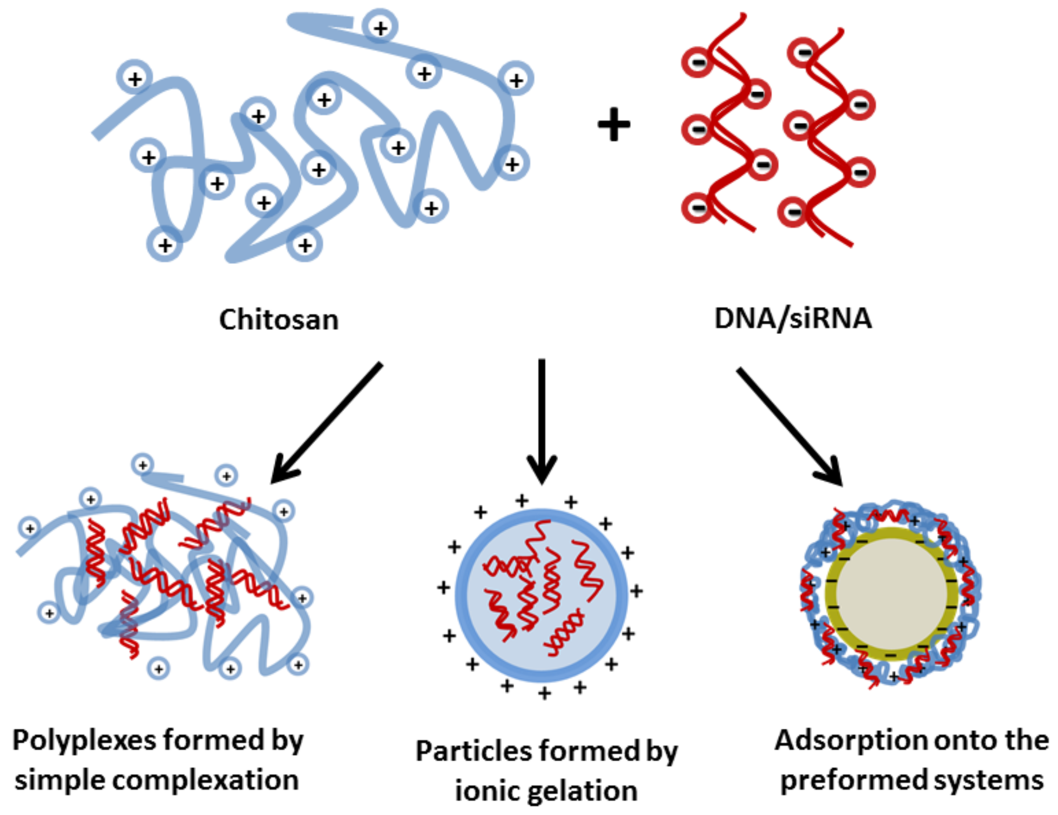 Polymers 10 00444 g003 Polymers 10 00444 g003