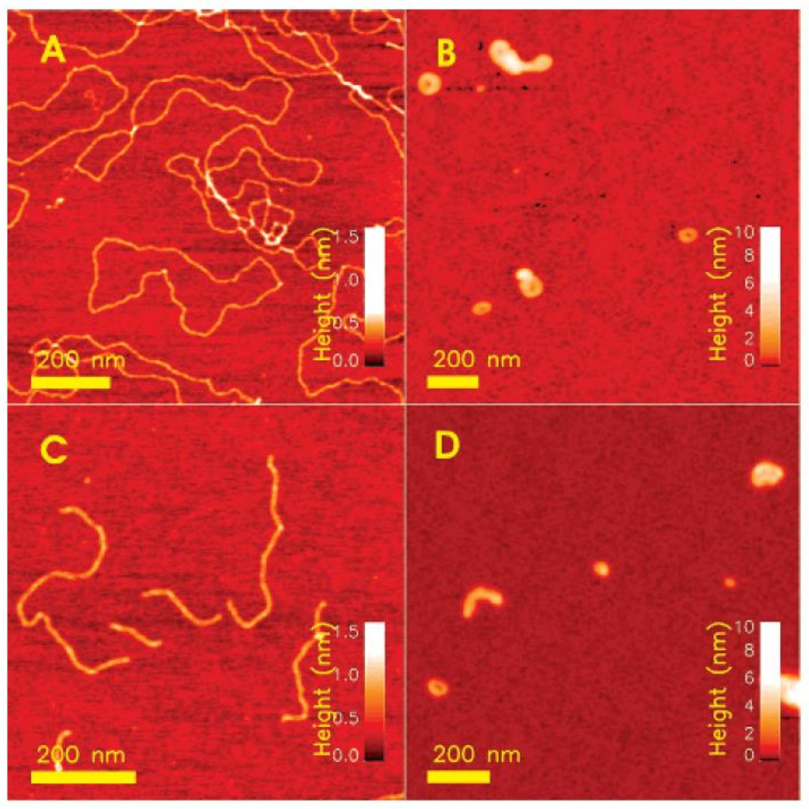 Polymers 10 00444 g006 Polymers 10 00444 g006
