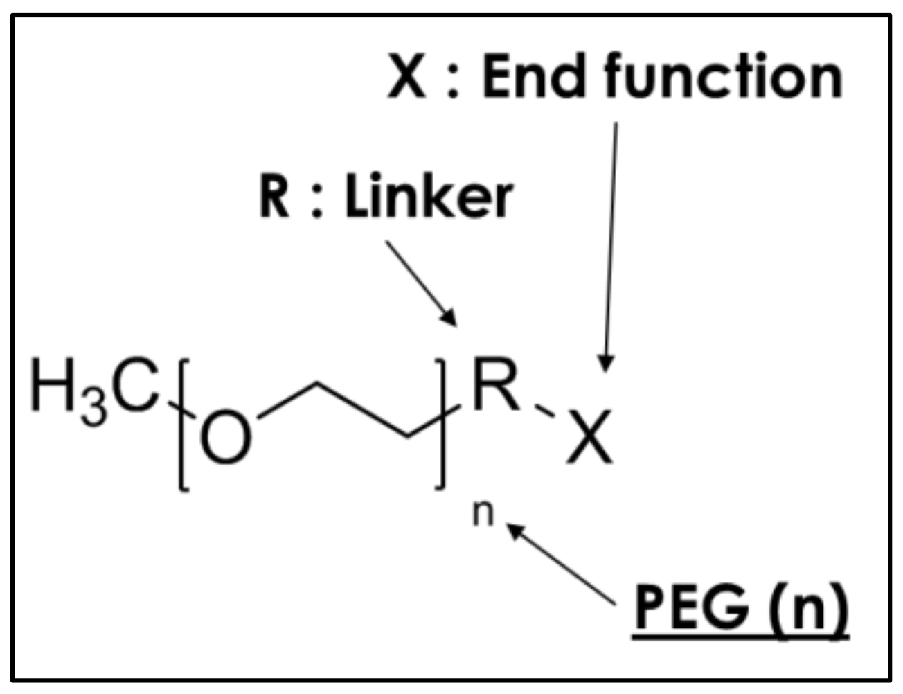 Polymers 10 00445 g002