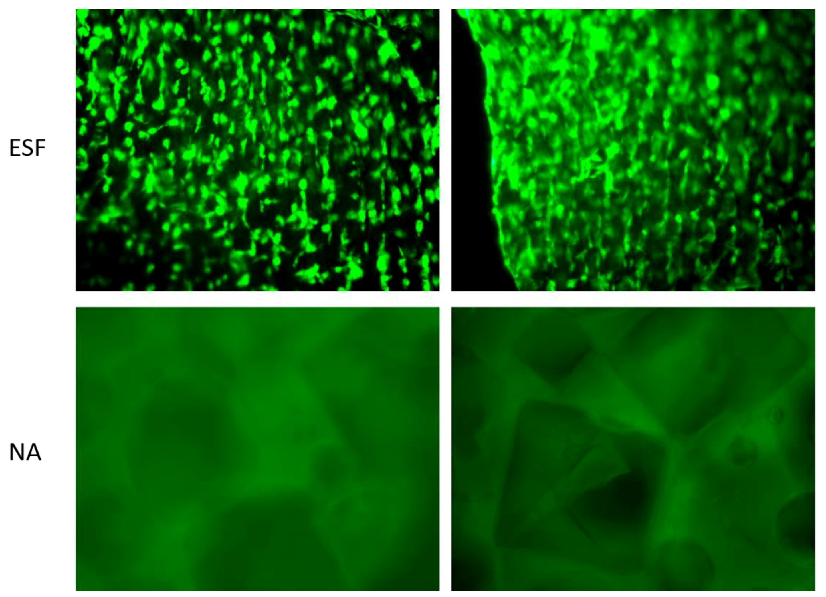 Polymers 10 00455 g007 550