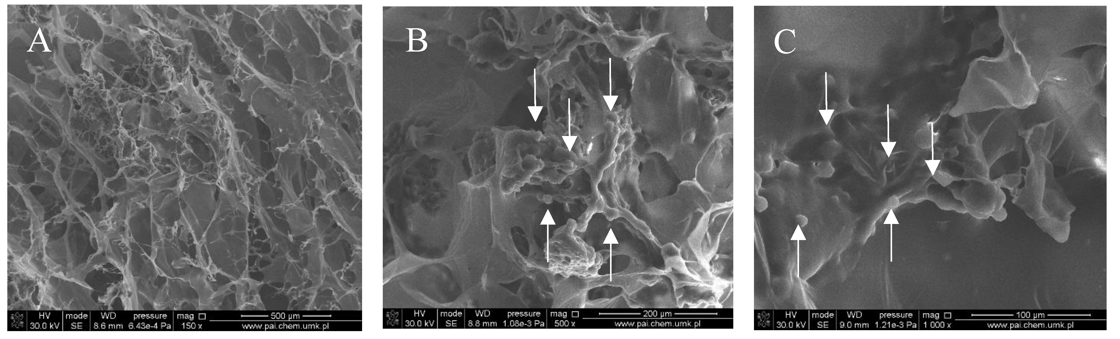 Polymers 10 00456 g002