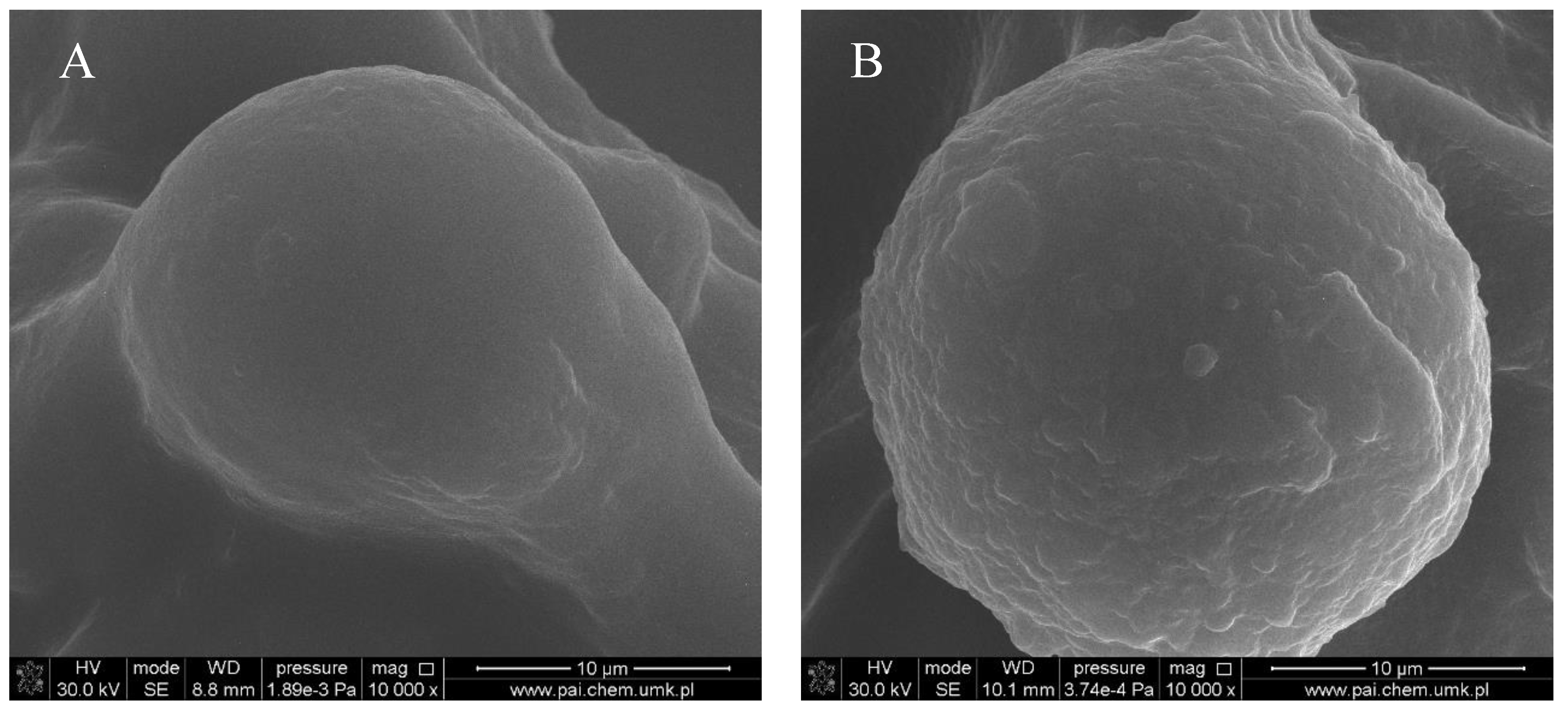 Polymers 10 00456 g004