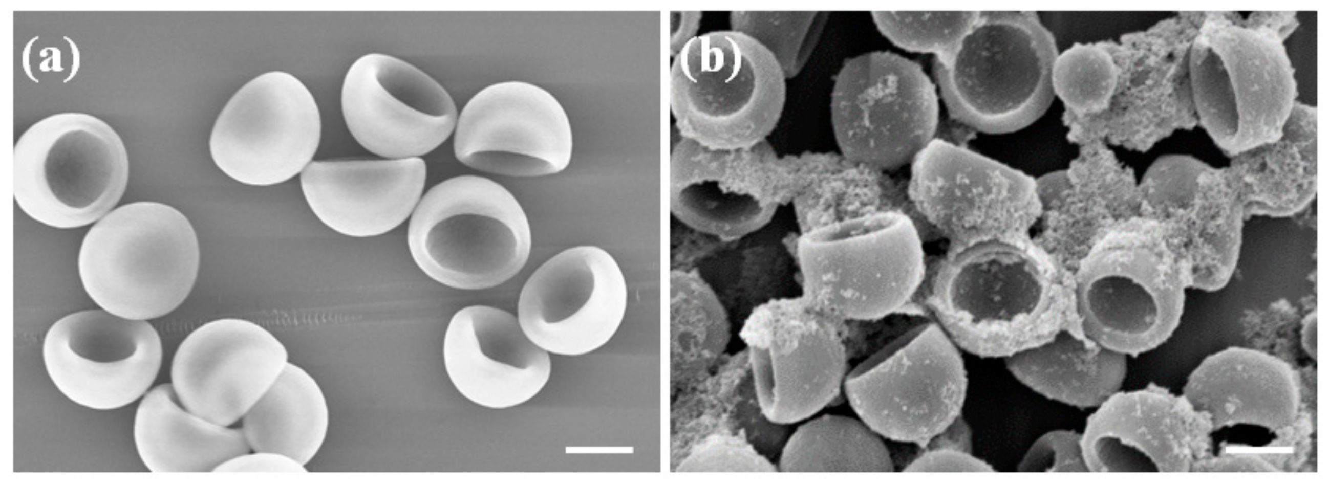 Polymers 10 00458 g003 550