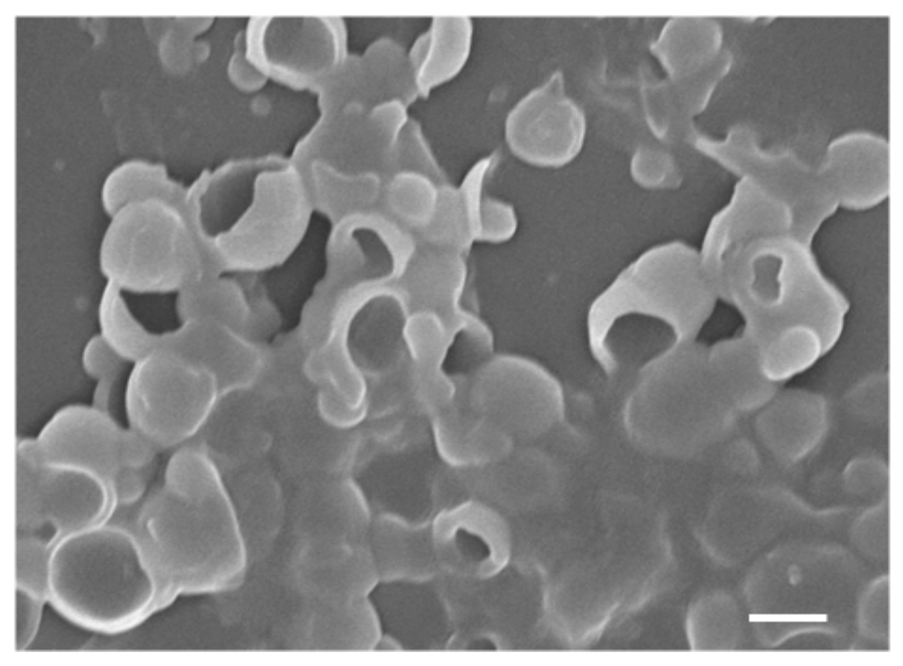 Polymers 10 00458 g004 550