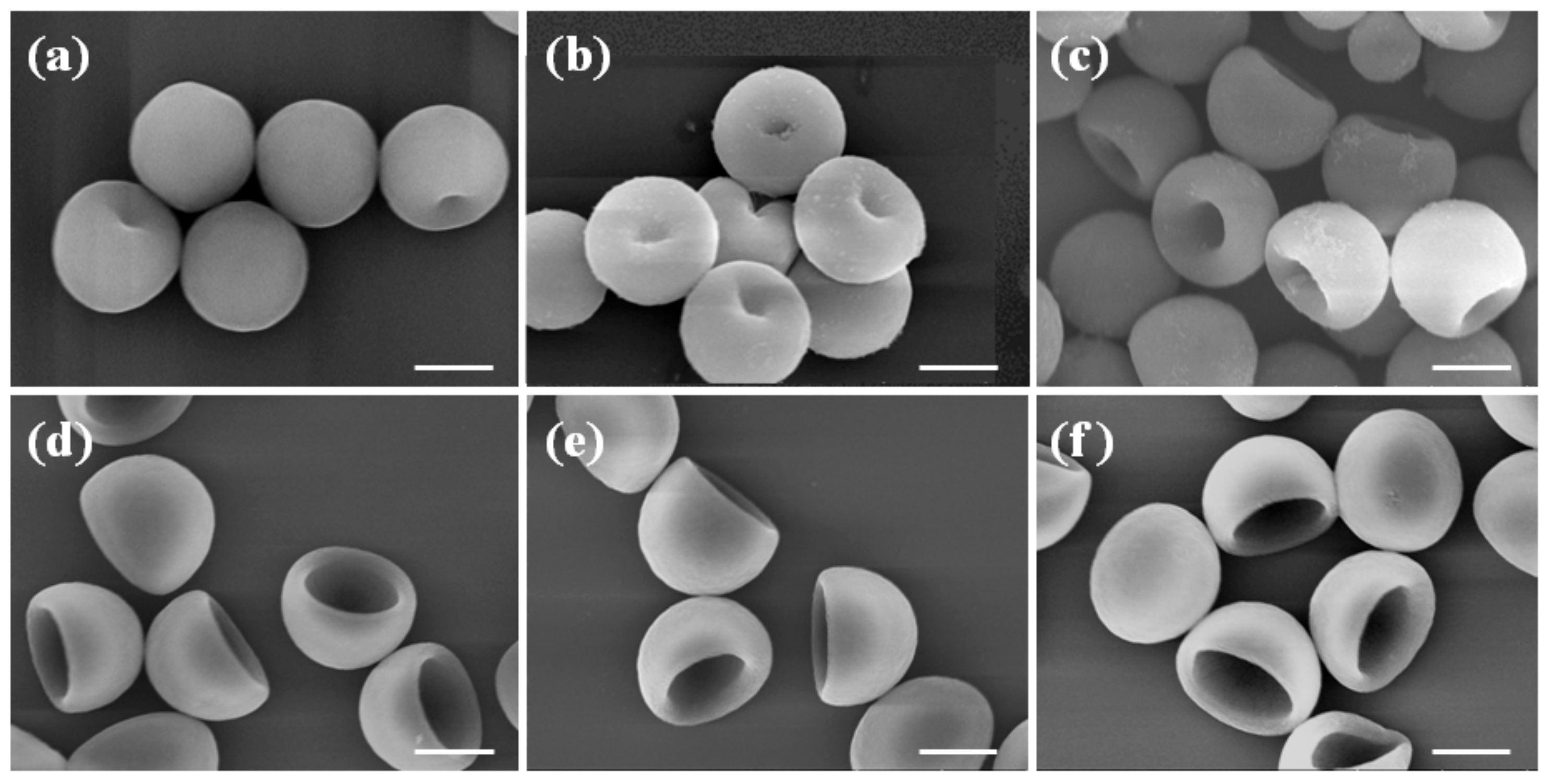 Polymers 10 00458 g005 550