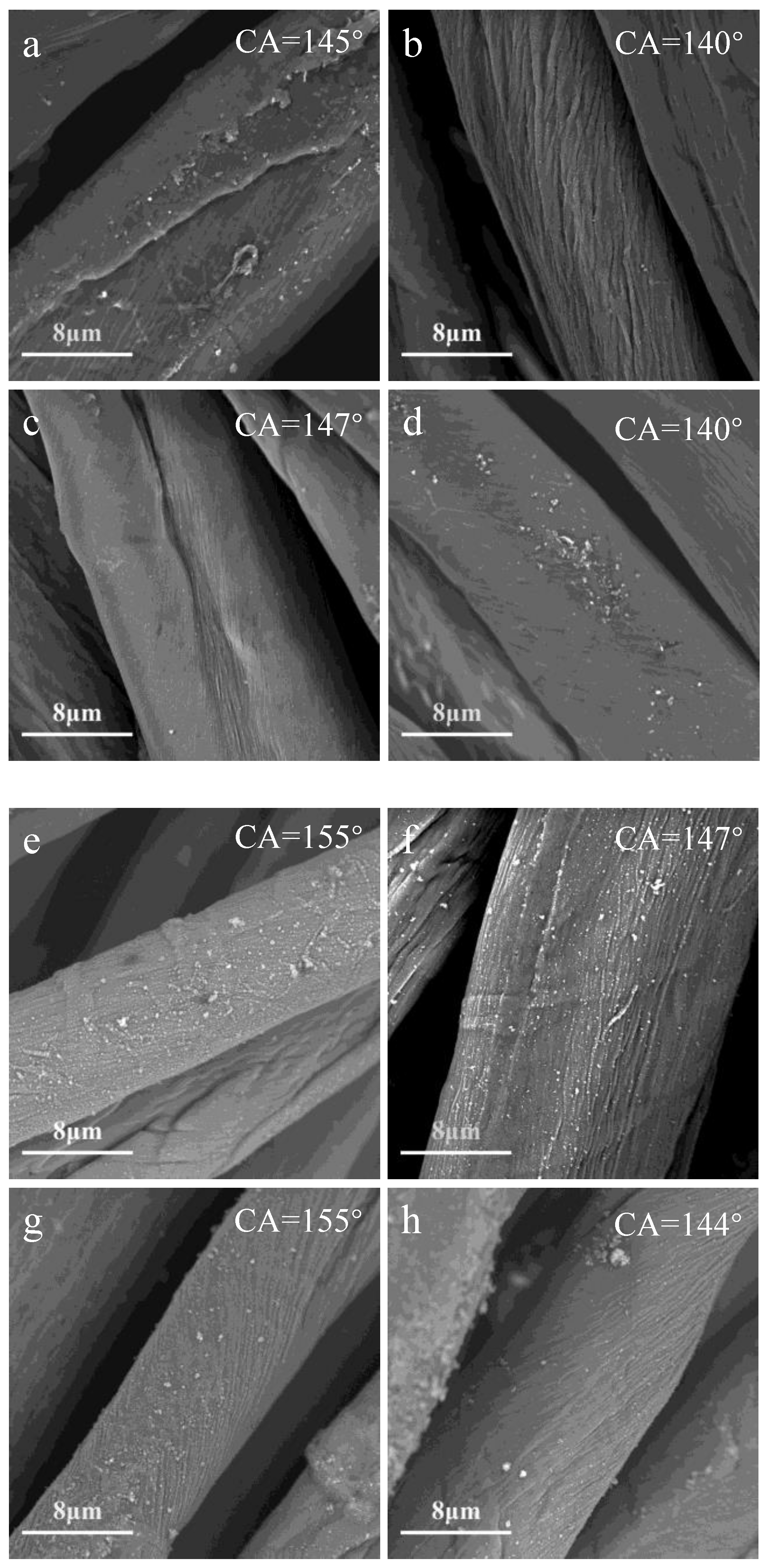 Polymers 10 00460 g002 Polymers 10 00460 g002