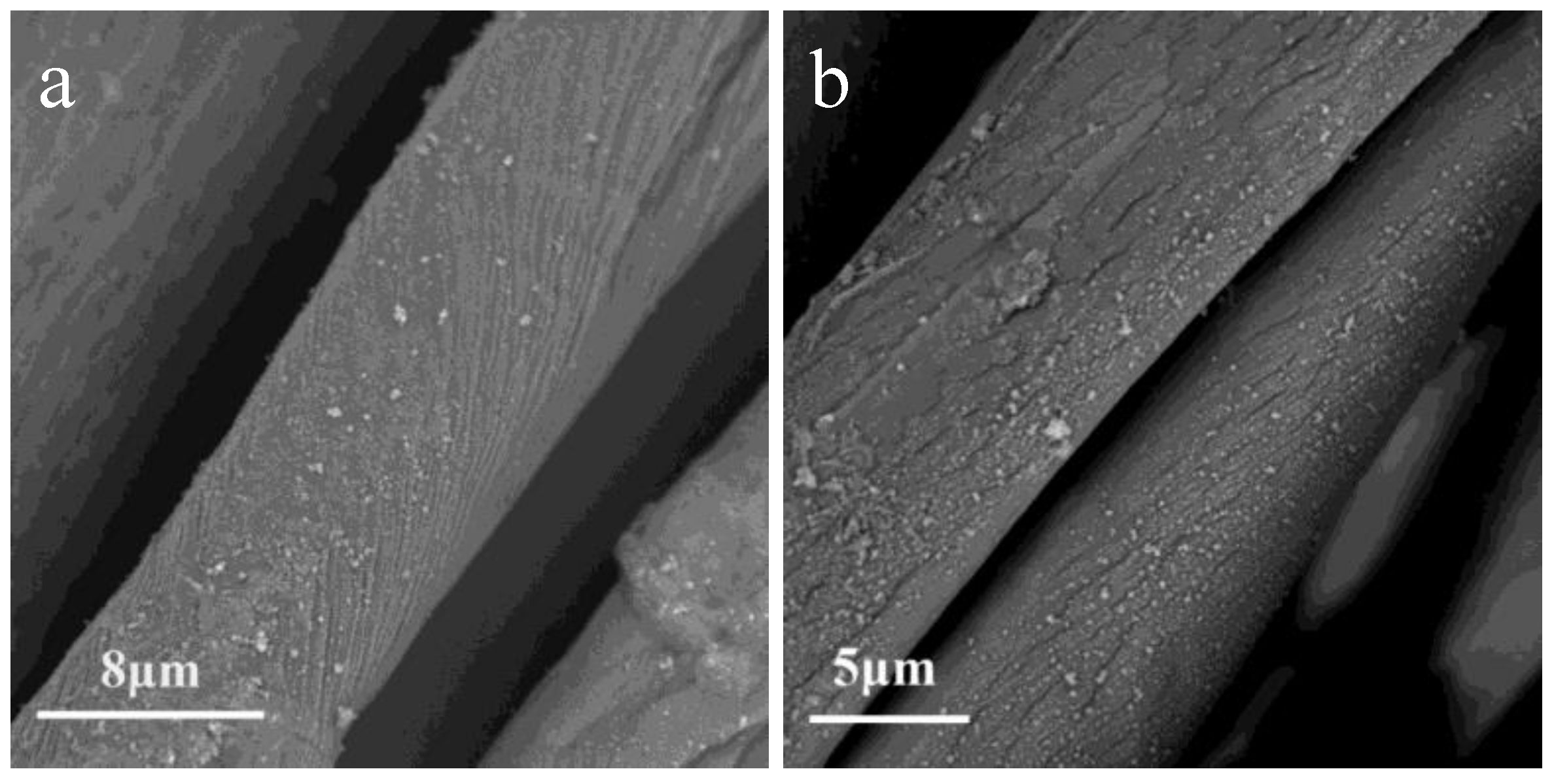 Polymers 10 00460 g009 Polymers 10 00460 g009
