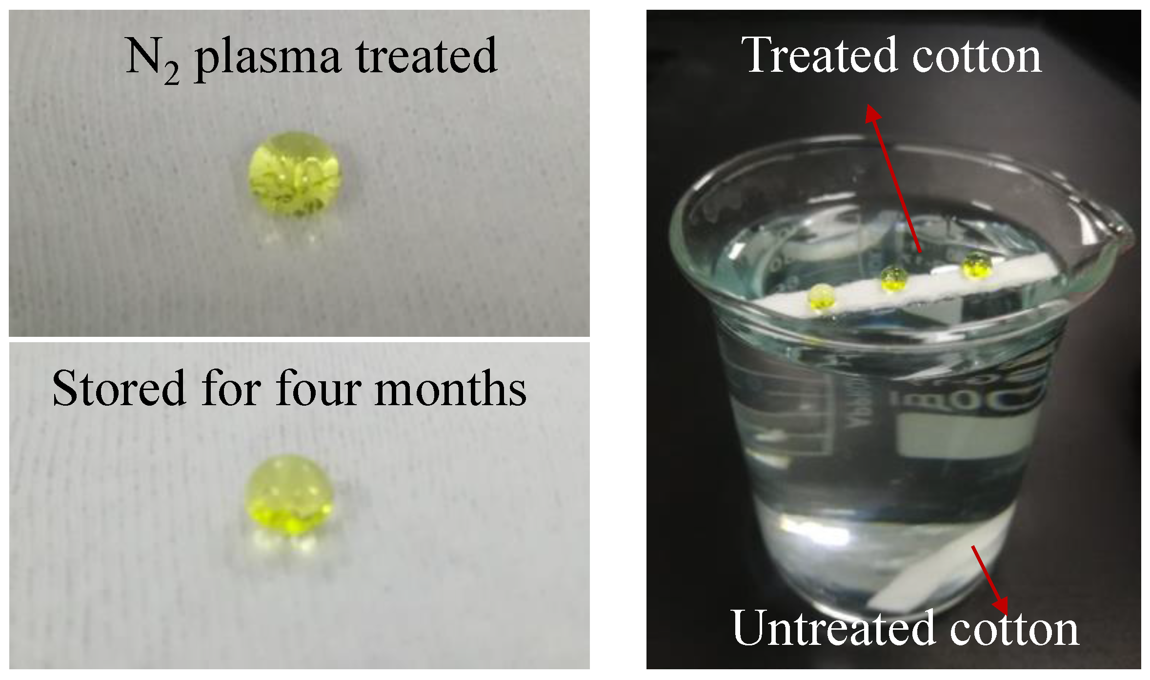 Polymers 10 00460 g011 Polymers 10 00460 g011