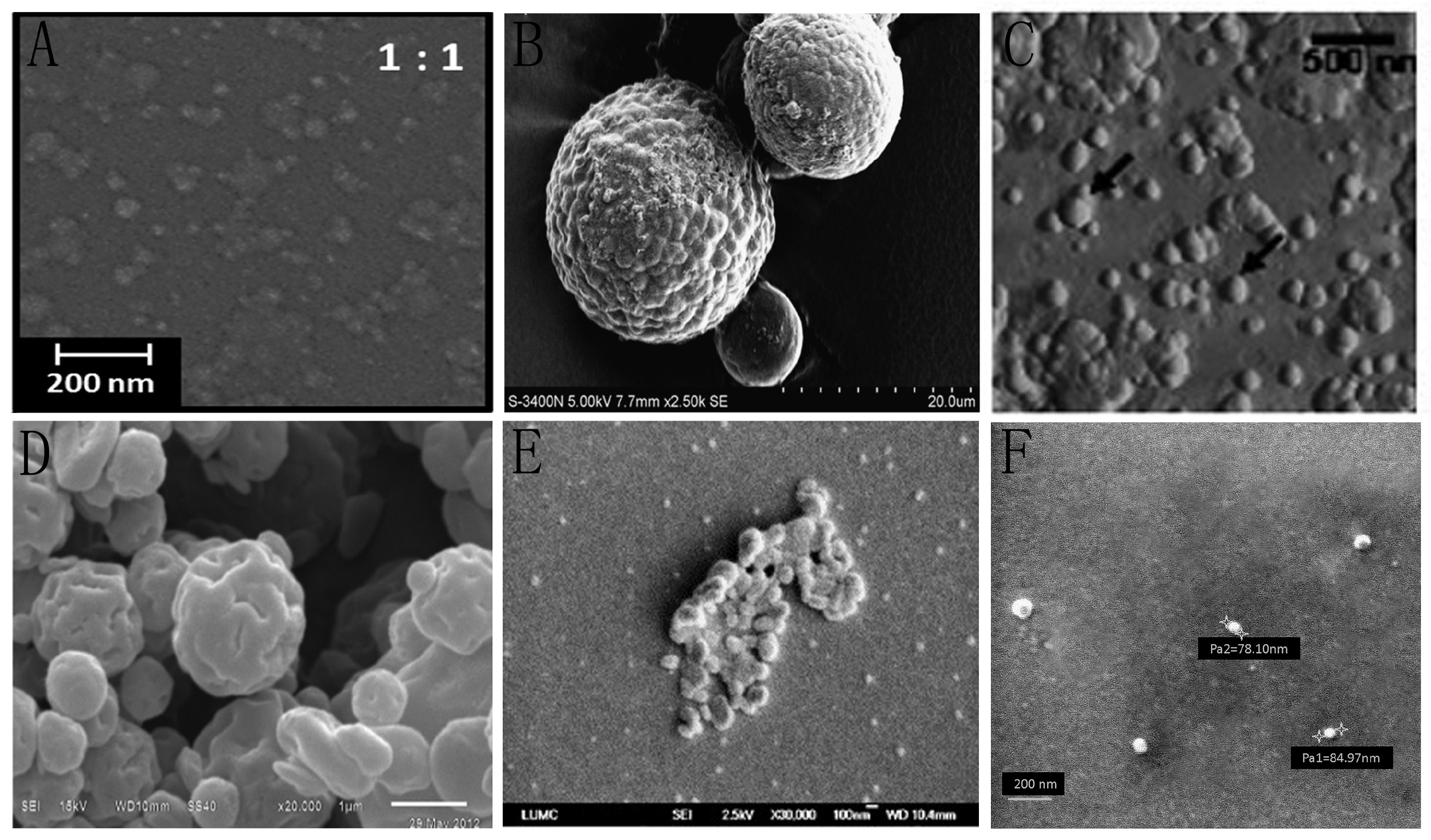 Polymers 10 00462 g004
