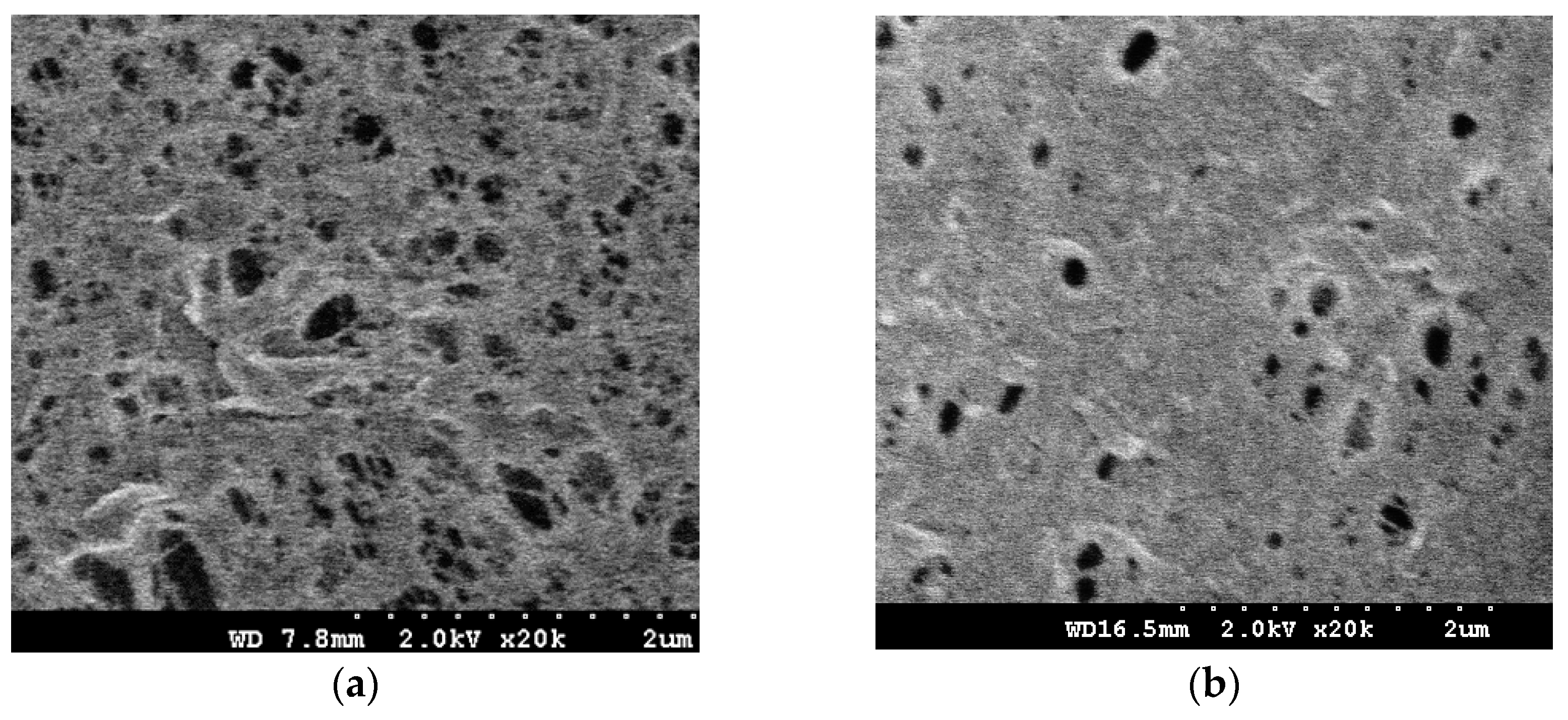 Polymers 10 00463 g002a Polymers 10 00463 g002a