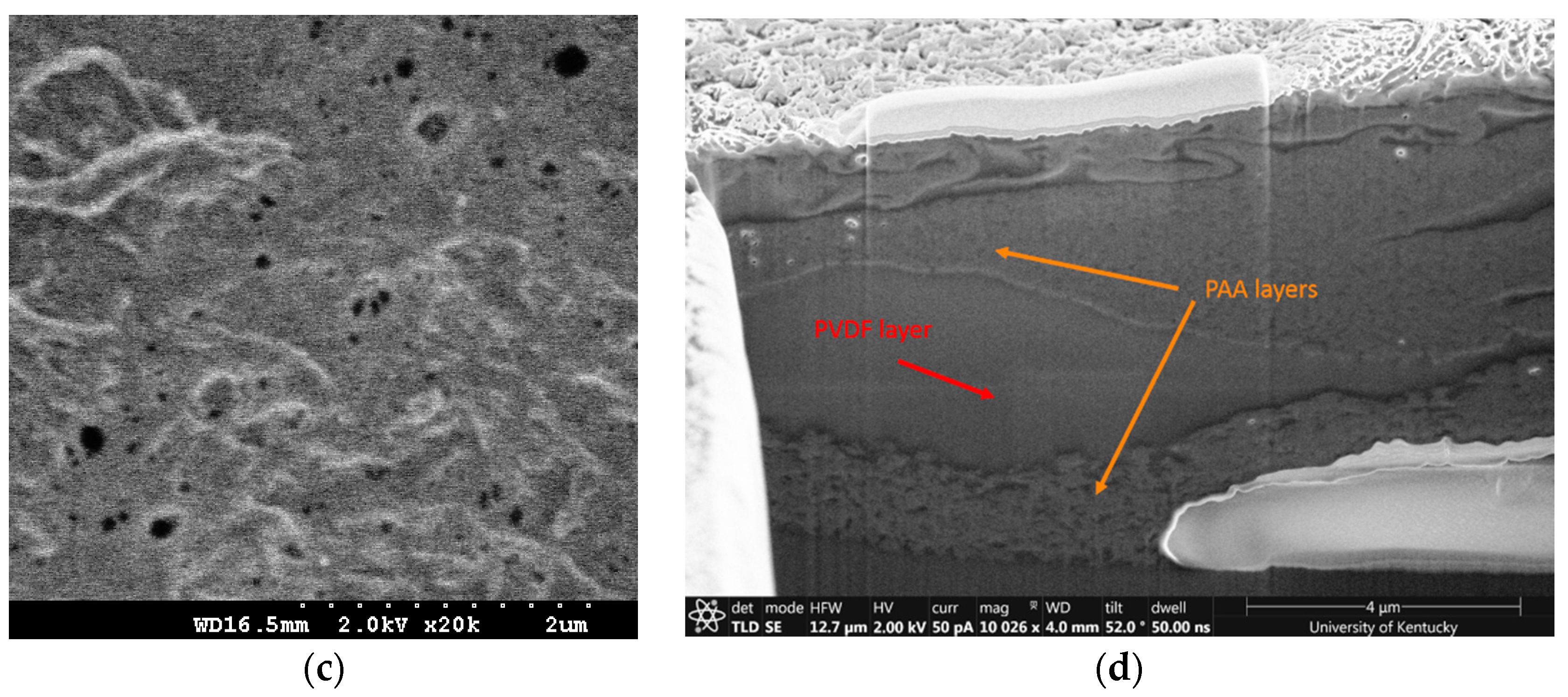 Polymers 10 00463 g002b Polymers 10 00463 g002b