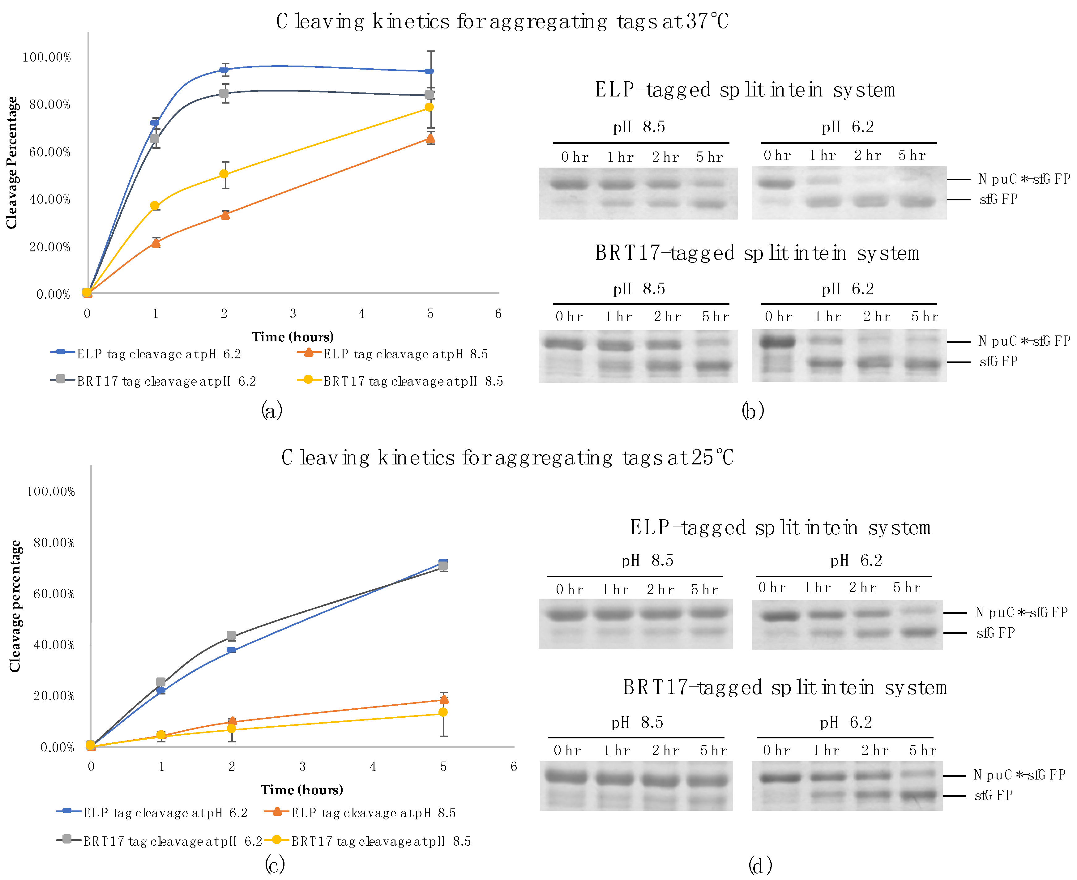 Polymers 10 00468 g001