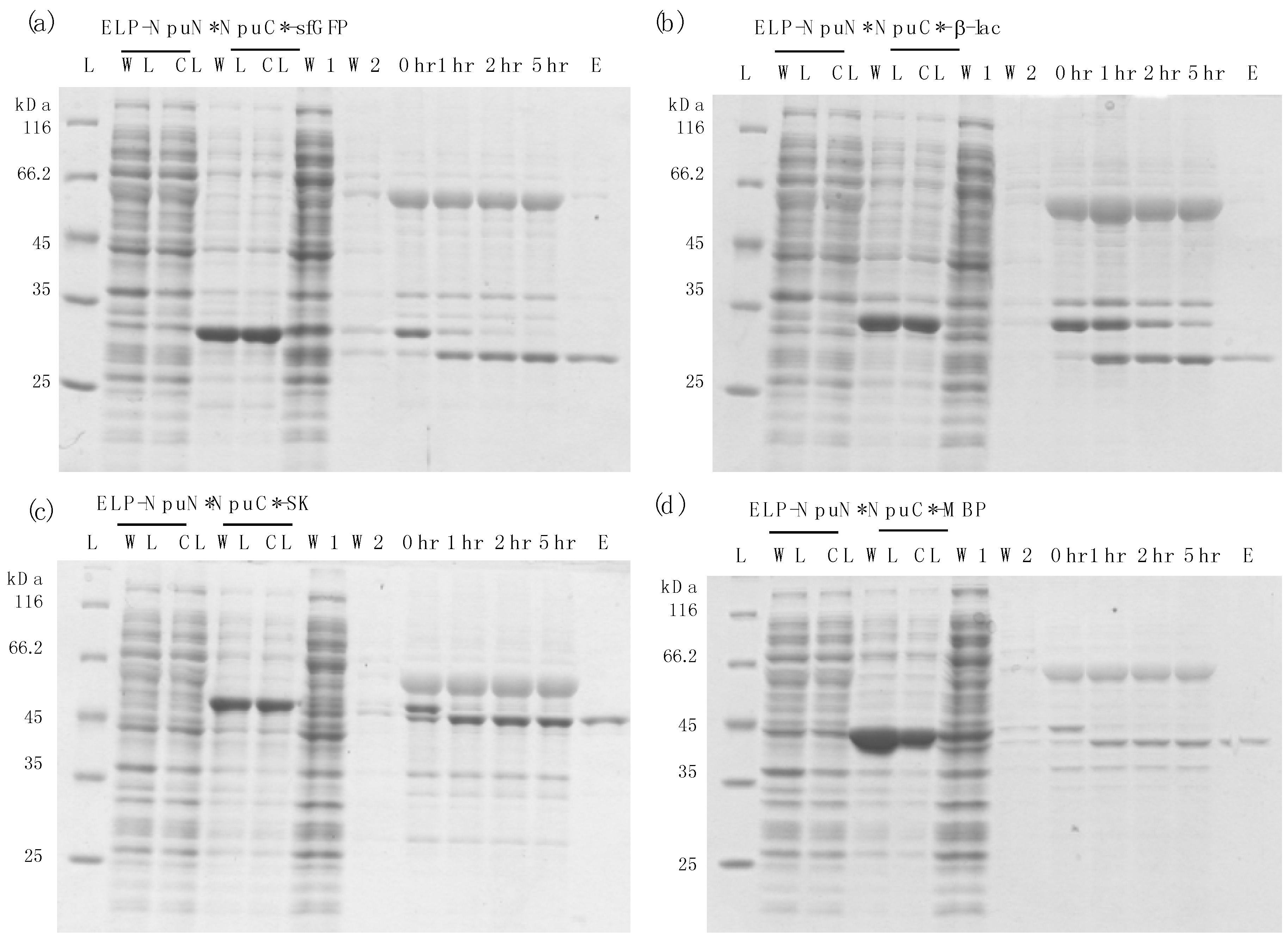 Polymers 10 00468 g003