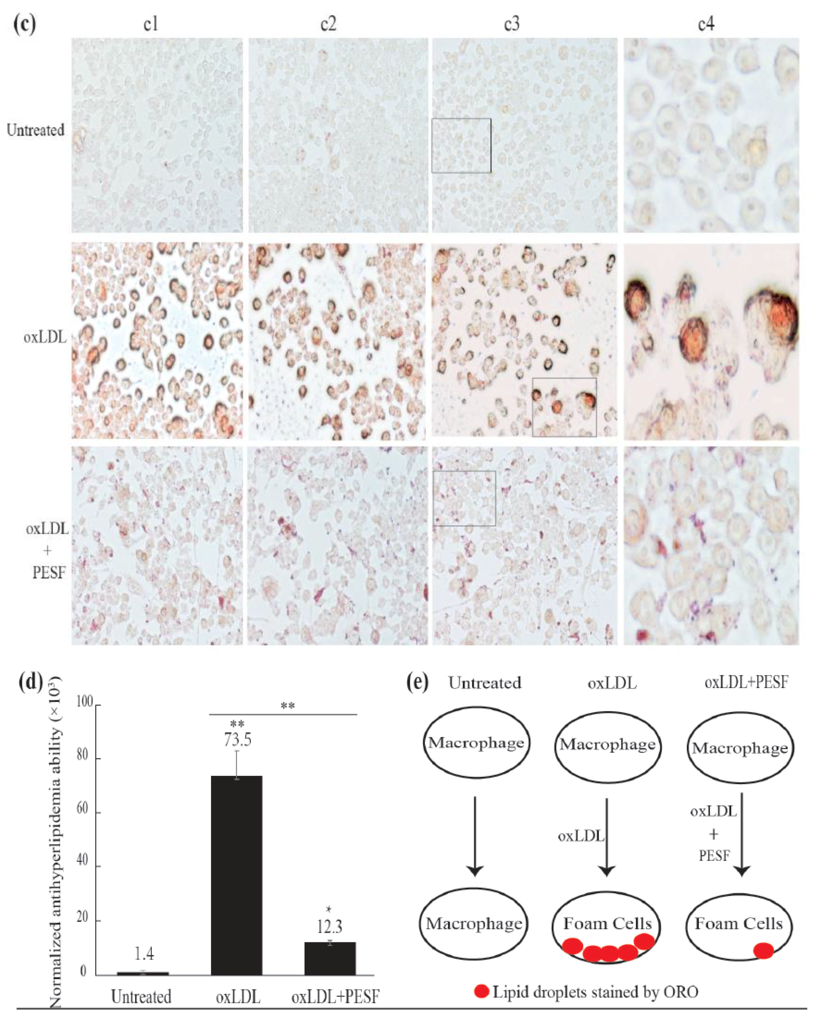 Polymers 10 00492 g002b 550