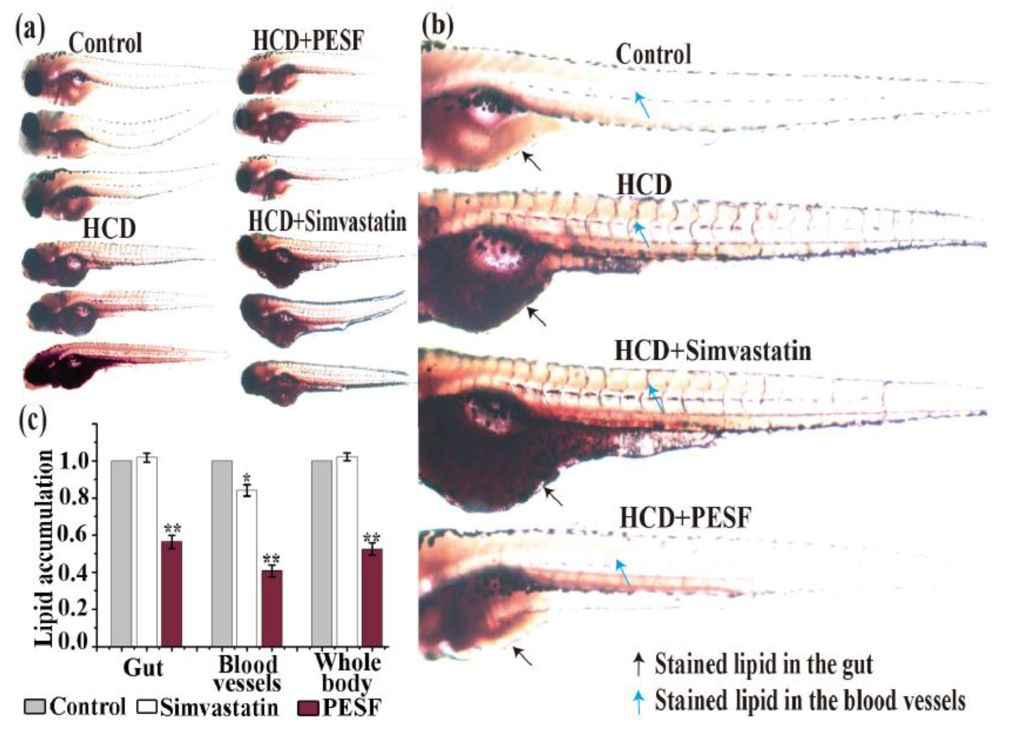 Polymers 10 00492 g005 550