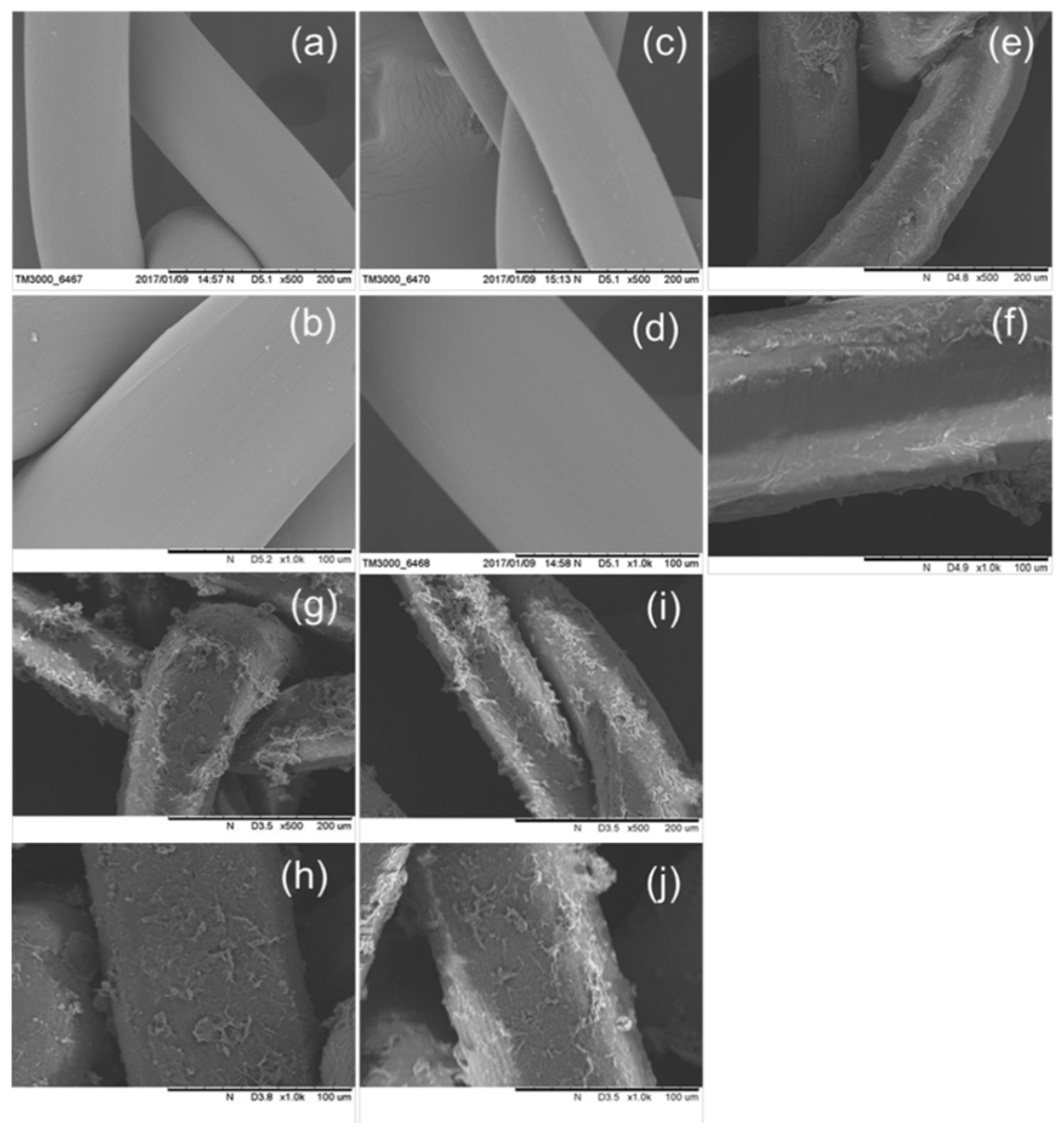 Polymers 10 00493 g004 550