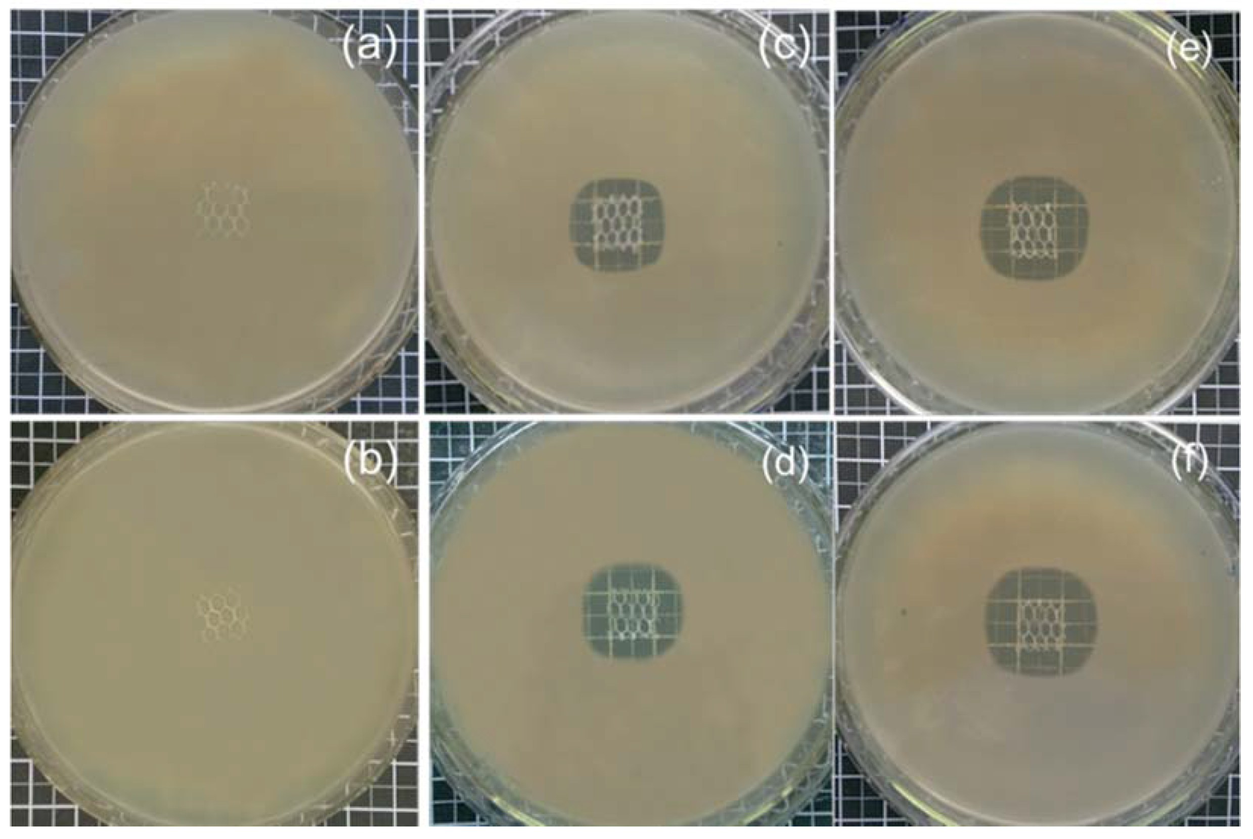 Polymers 10 00493 g007 550