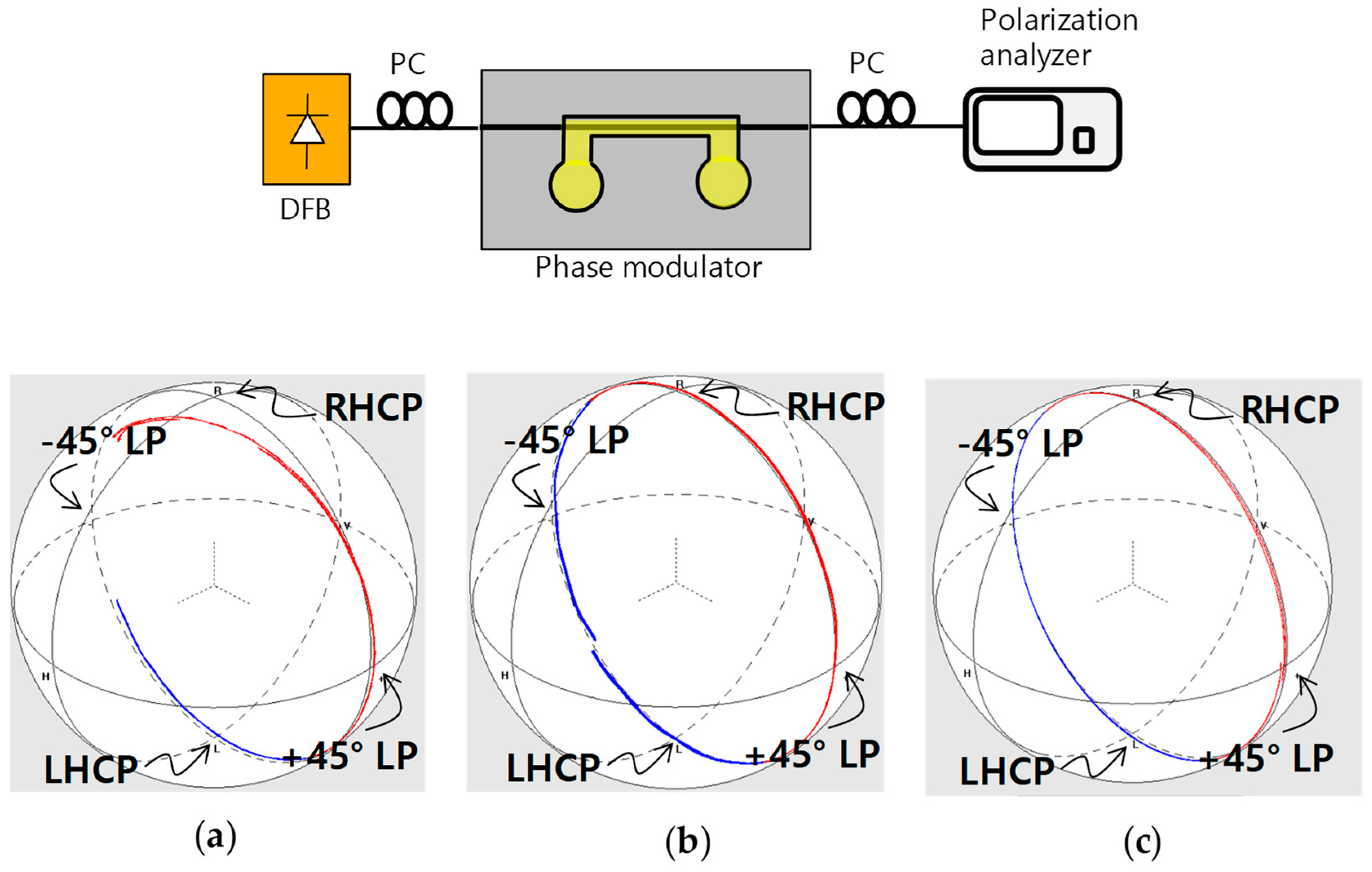 Polymers 10 00497 g006 550