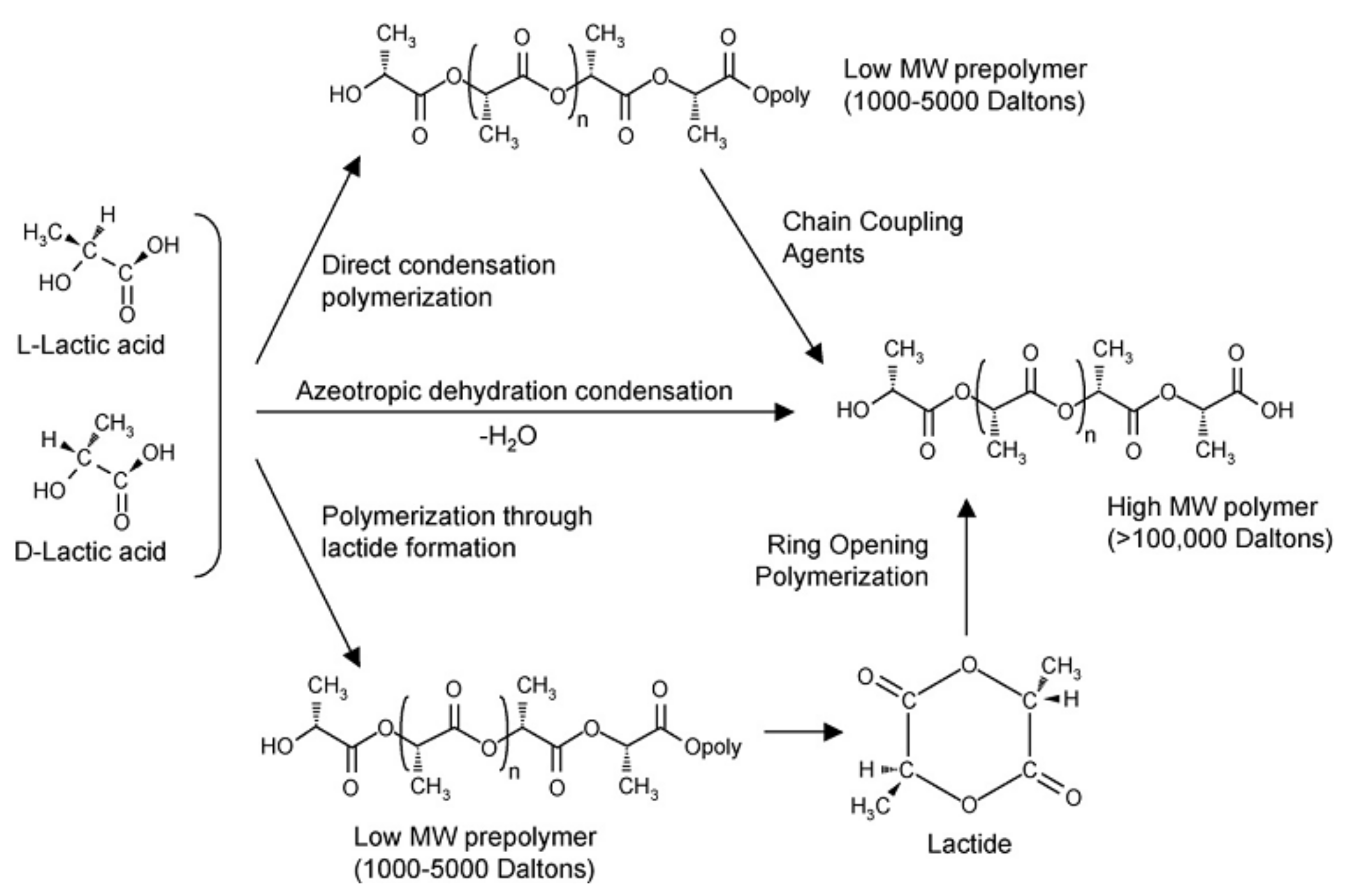 Polymers 10 00505 g001