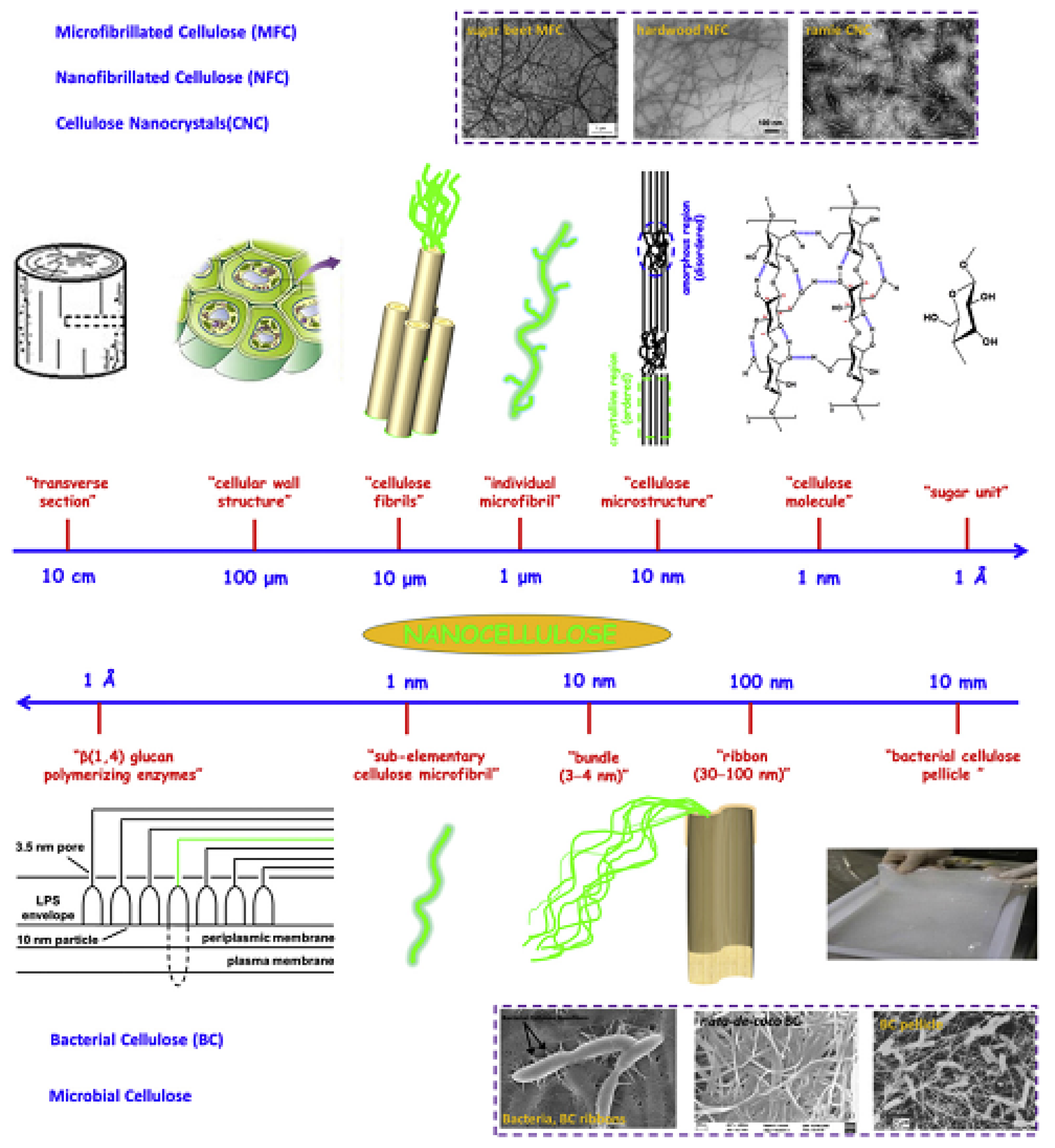 Polymers 10 00505 g003