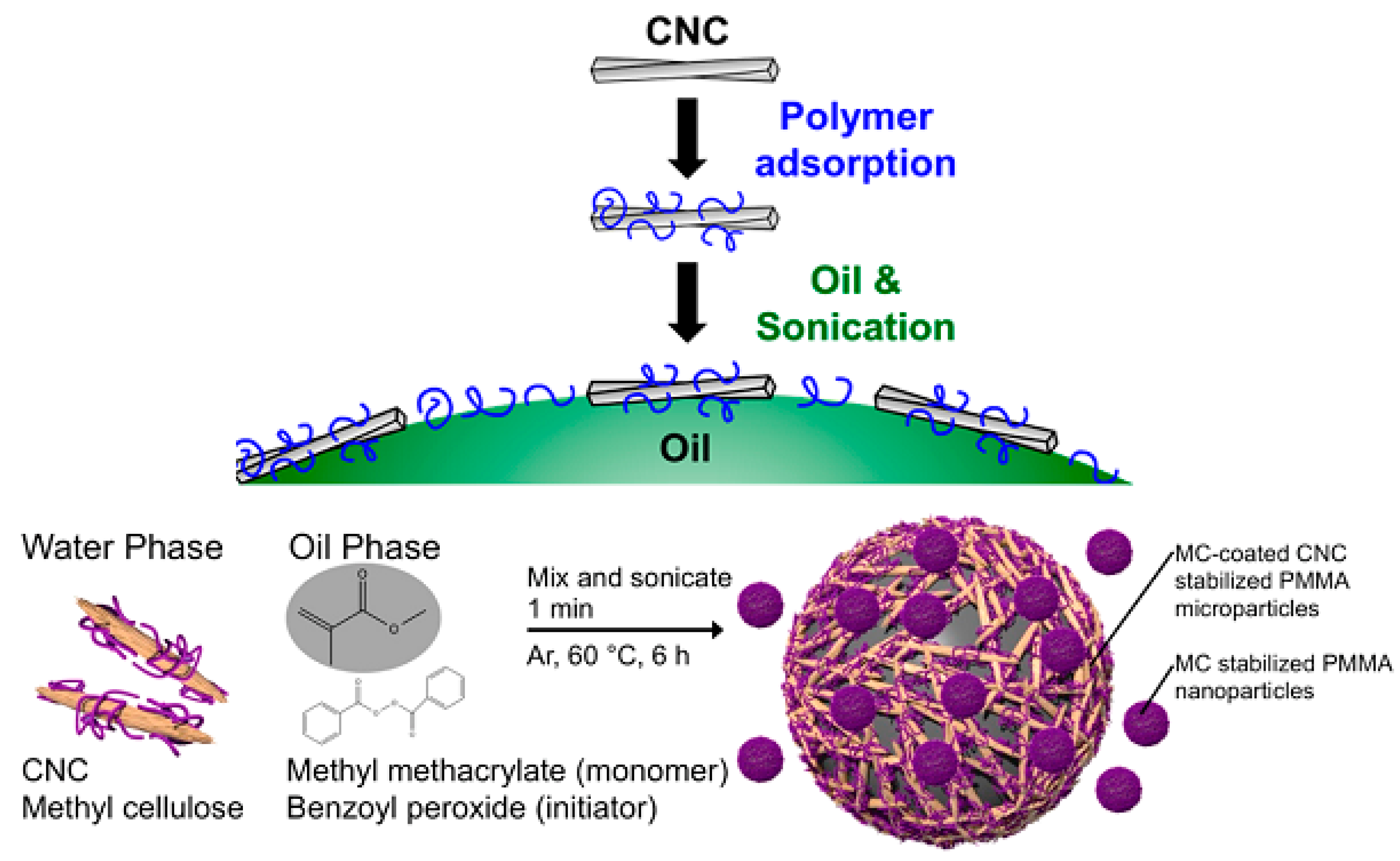 Polymers Free Full Text Recent Advances In Nanocellulose Composites With Polymers A Guide For Choosing Partners And How To Incorporate Them Html