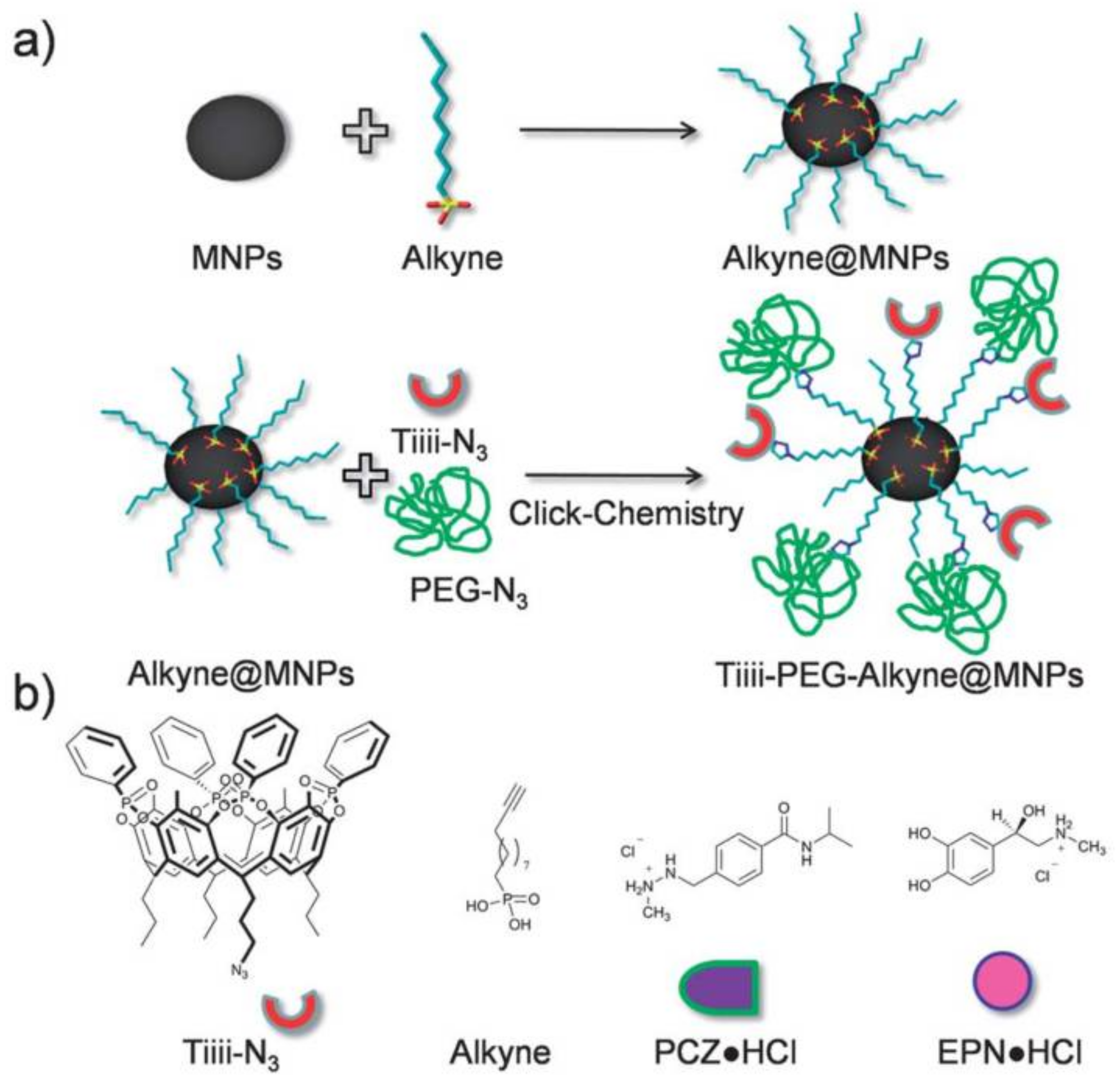 Polymers 10 00527 g009