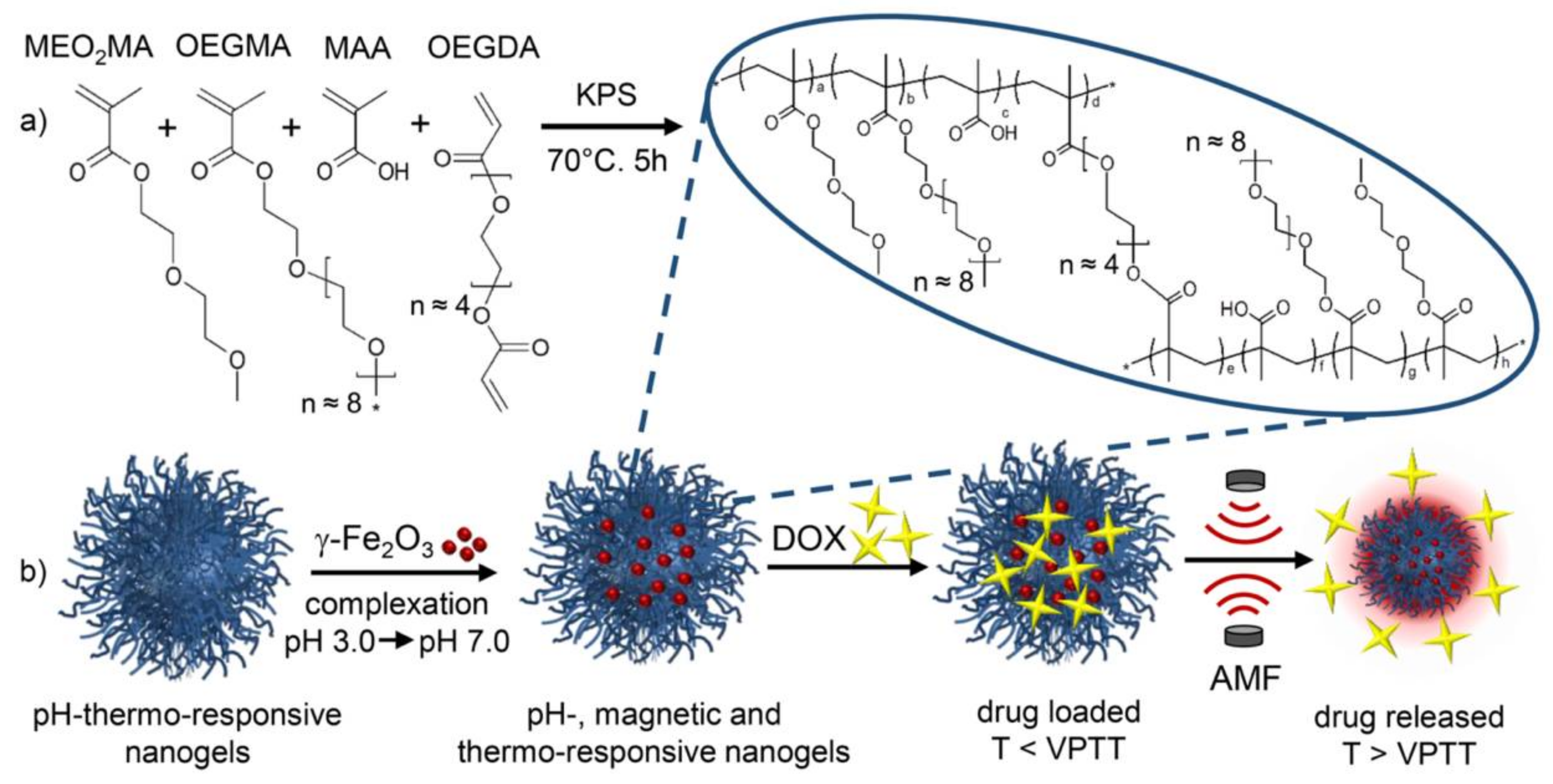 Polymers 10 00527 g013