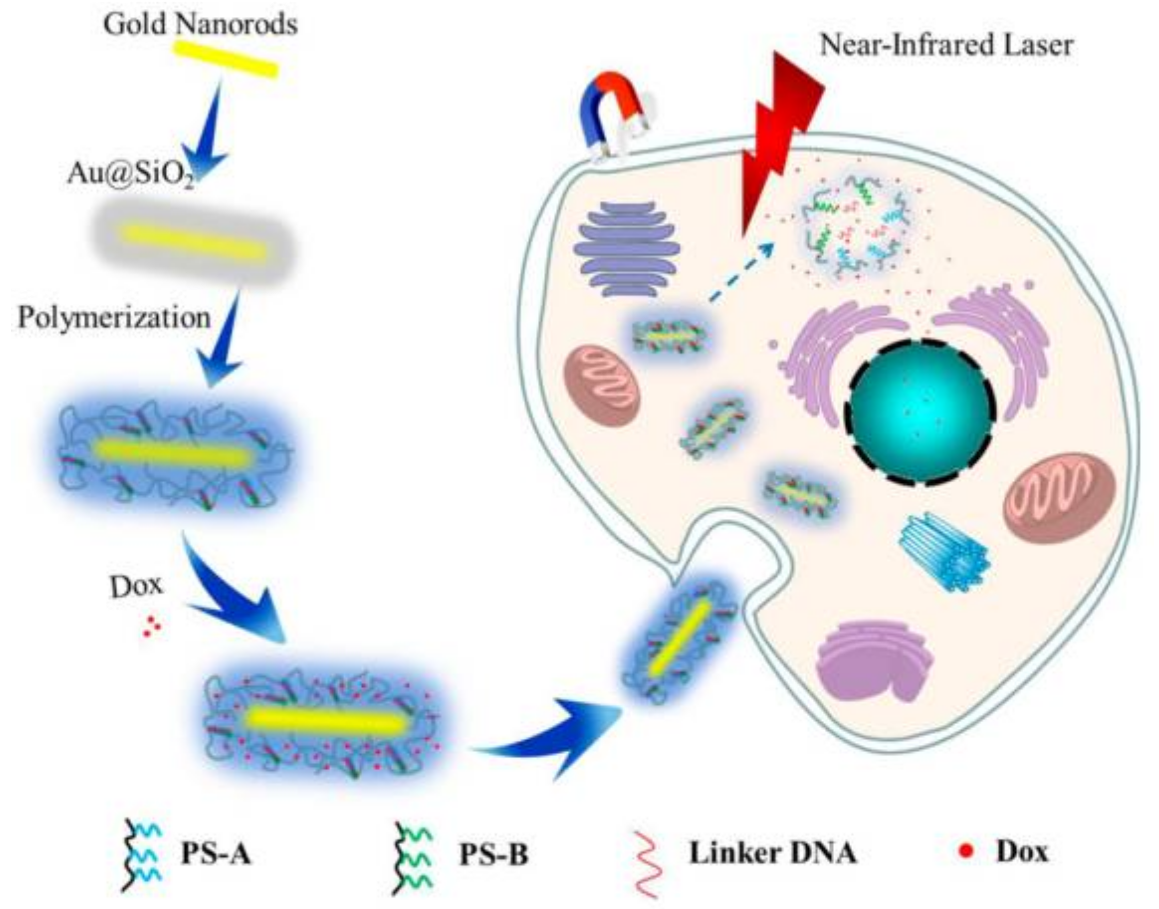 Polymers 10 00527 g016