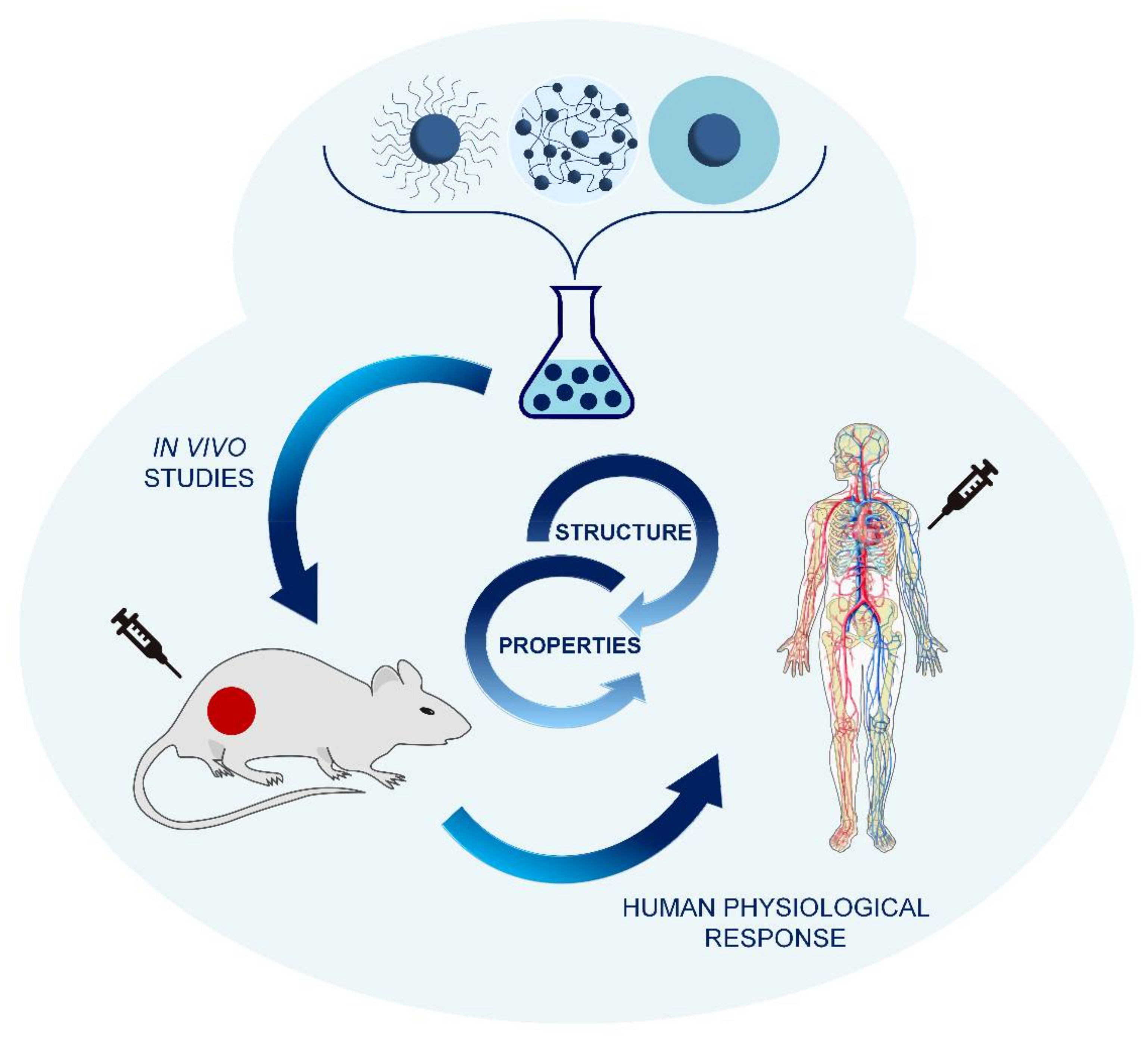 Polymers 10 00527 g017