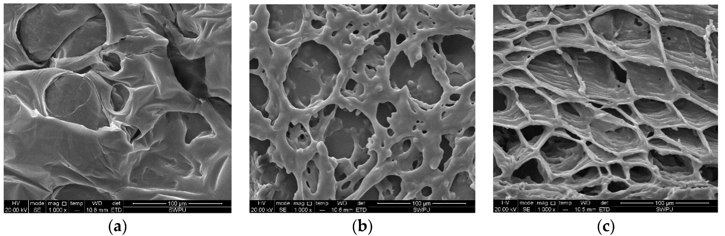 Polymers 10 00535 g004 550