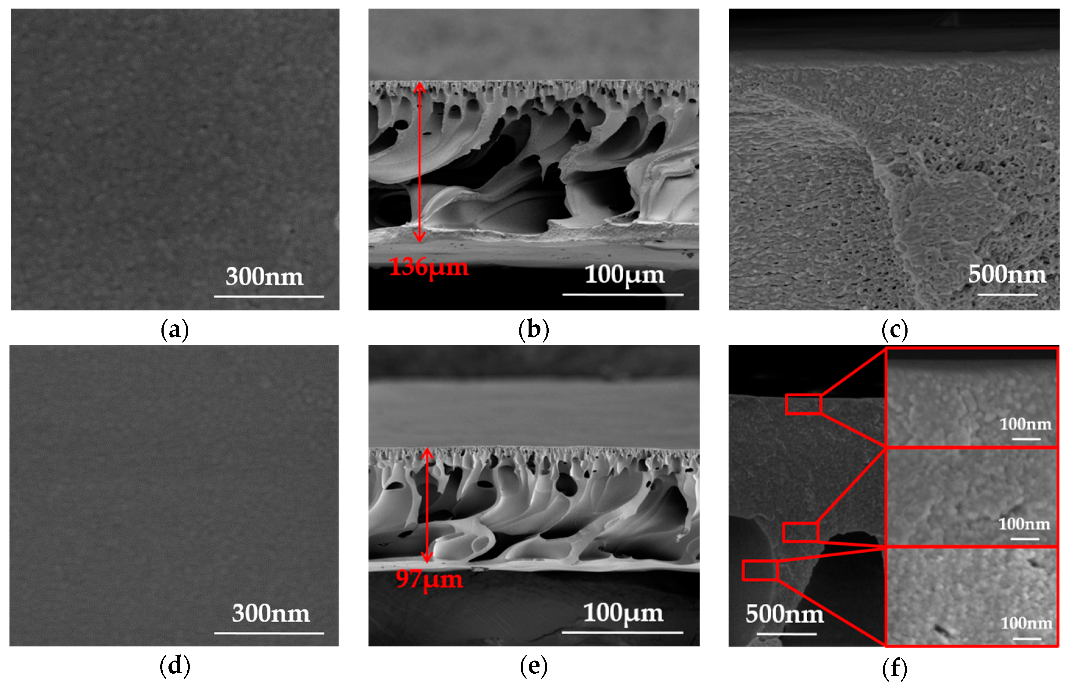 Polymers 10 00539 g009 Polymers 10 00539 g009