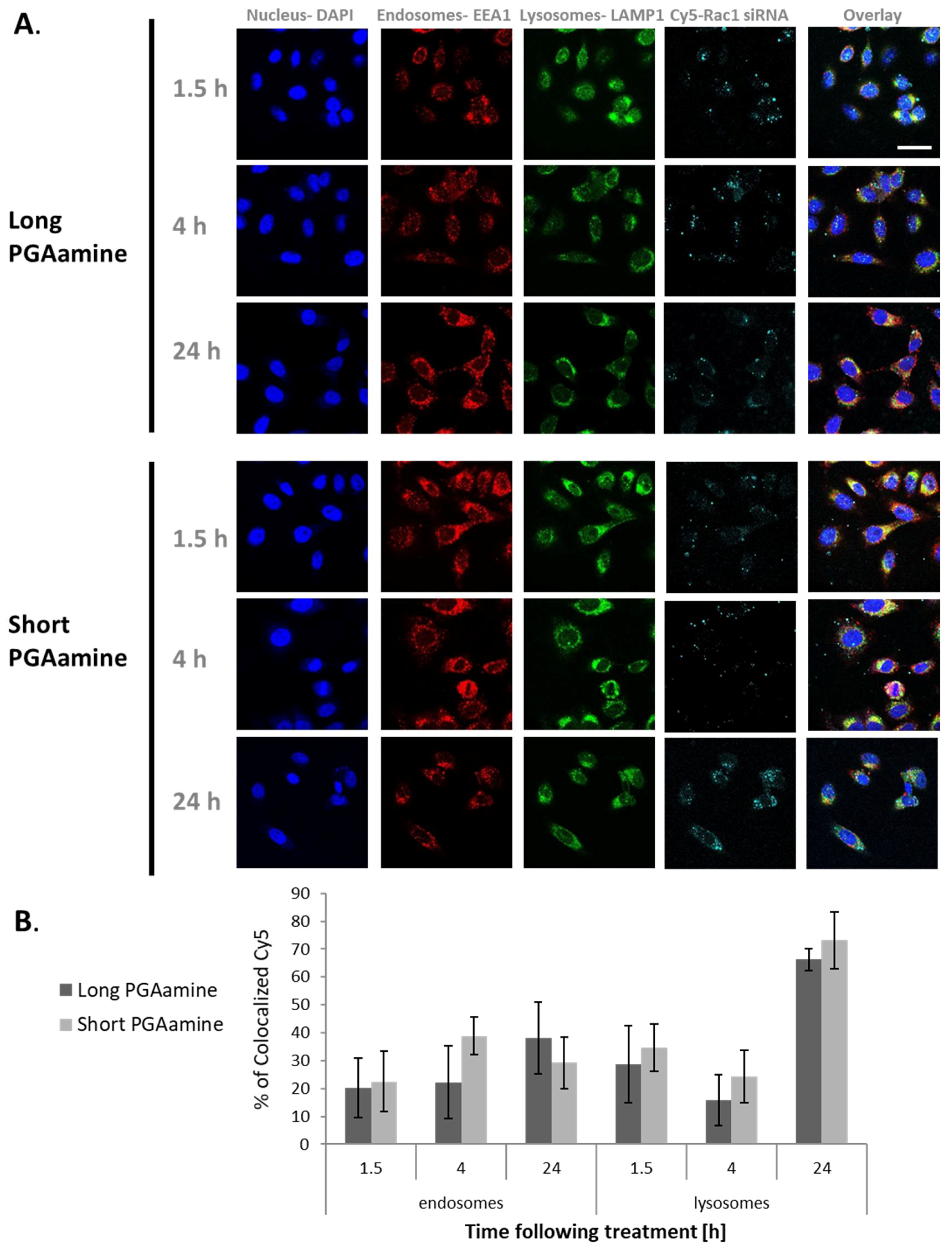 Polymers 10 00548 g005 550