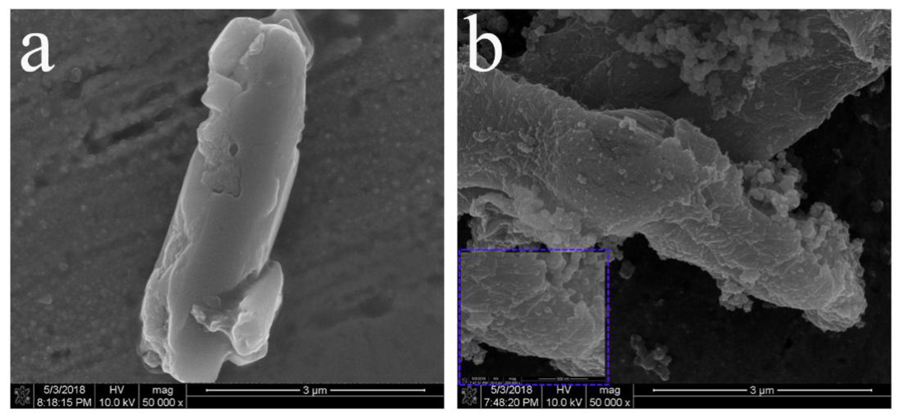 Polymers 10 00550 g004