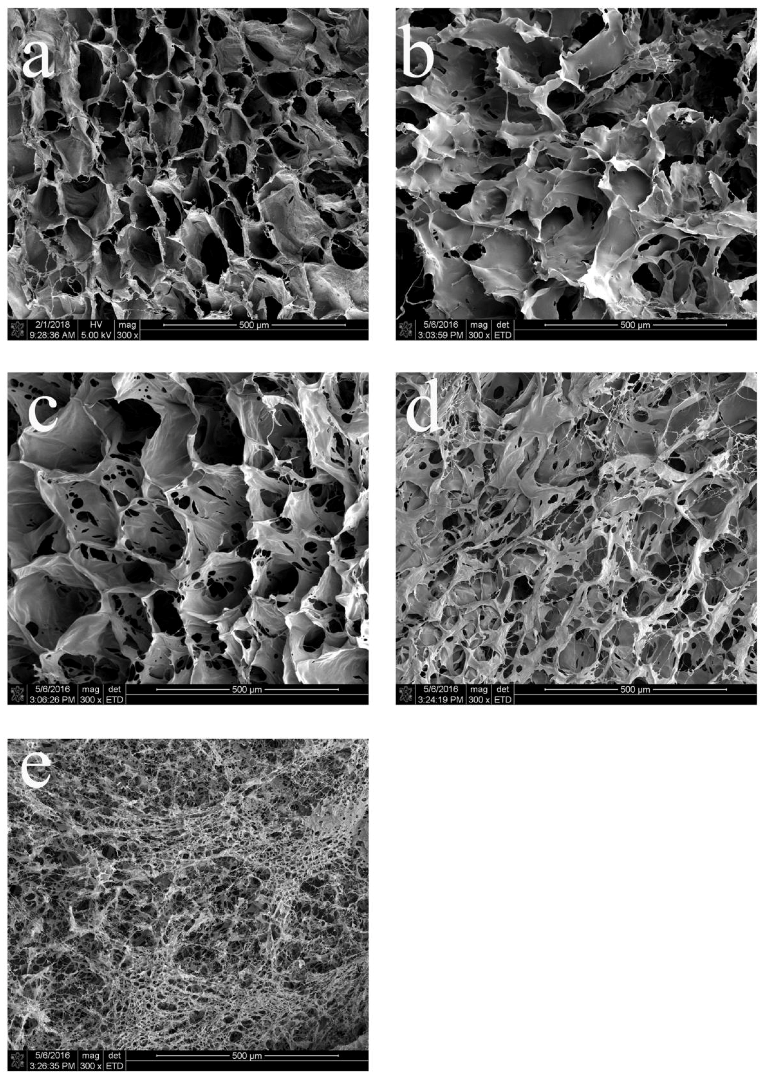 Polymers 10 00550 g009