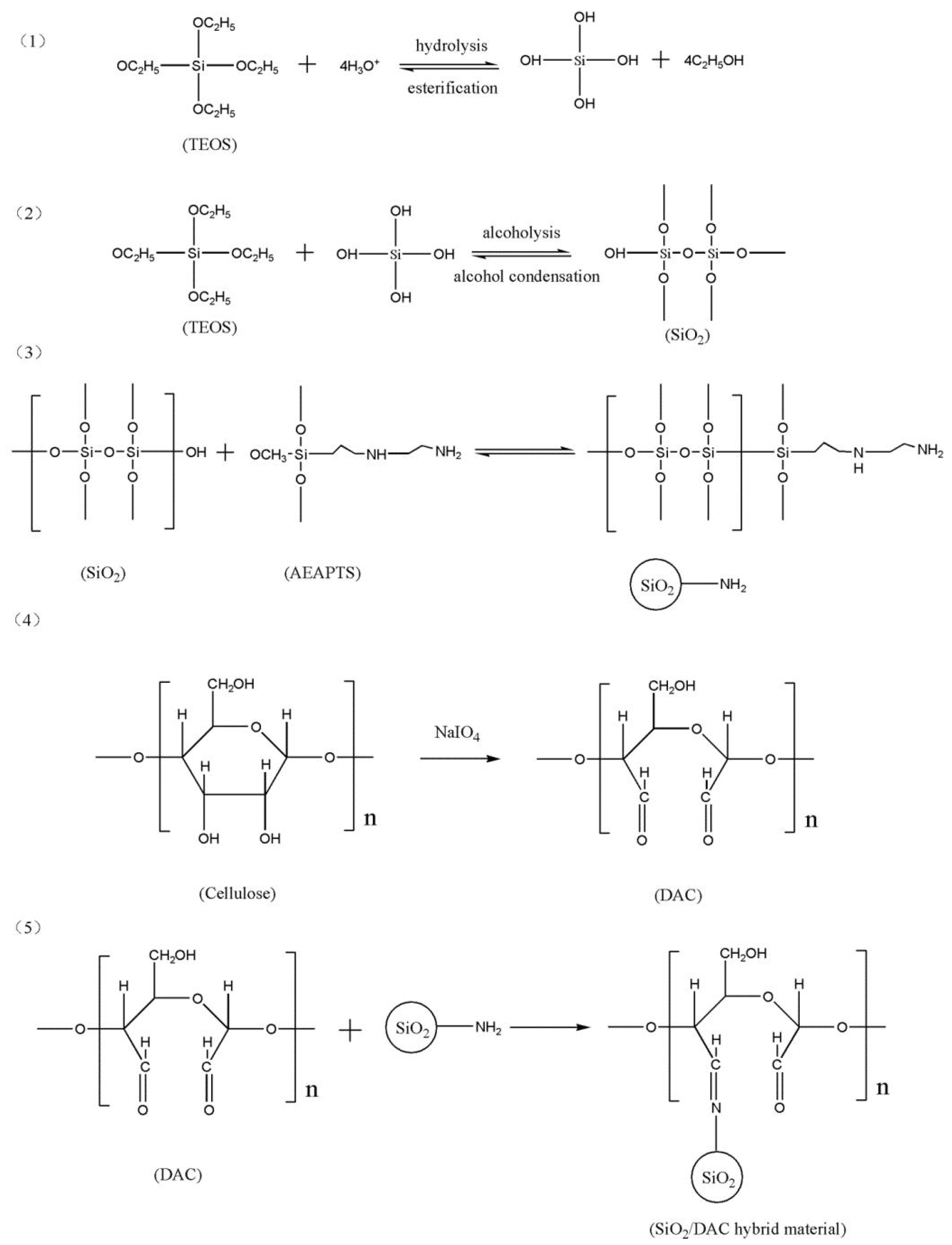 Polymers 10 00550 sch001