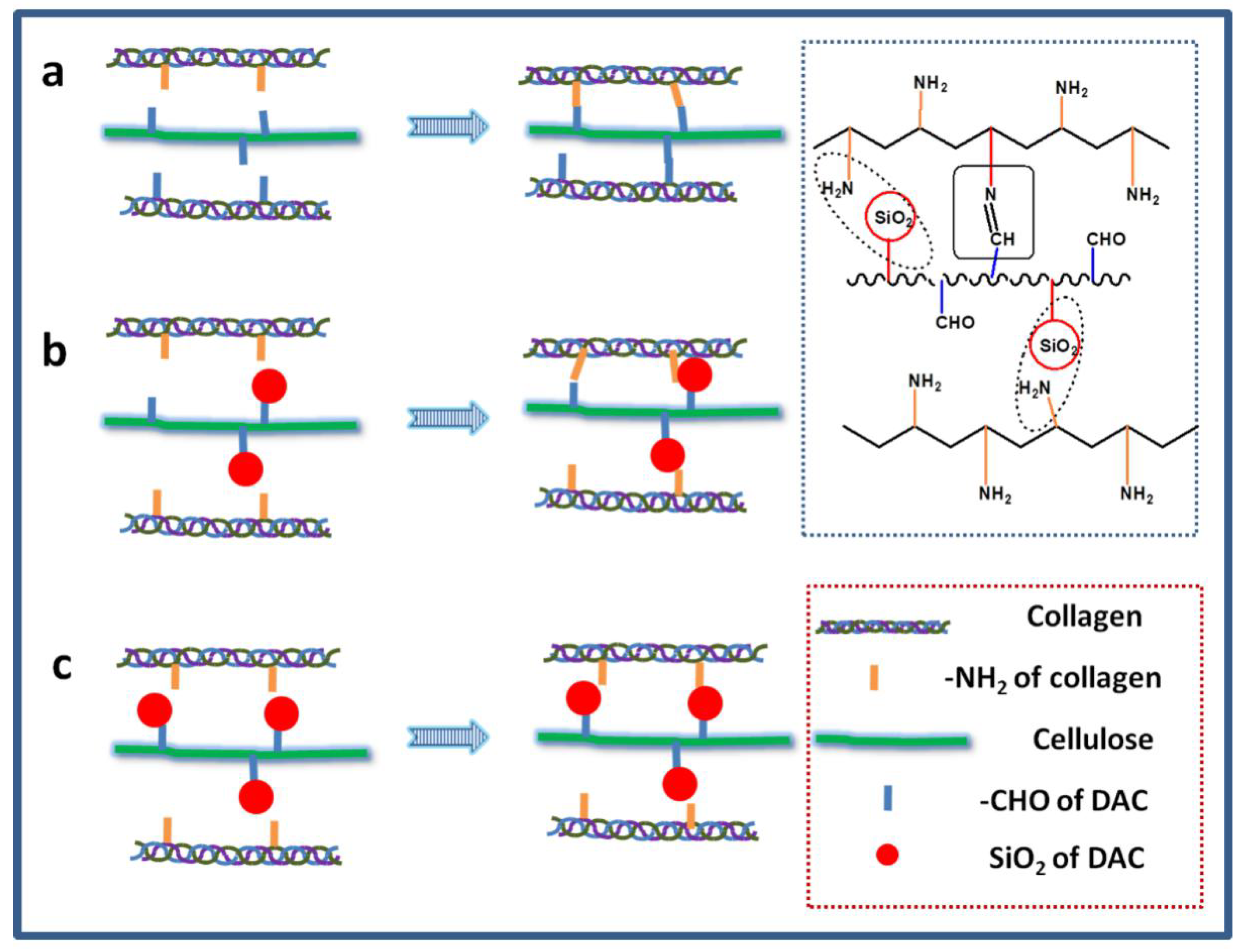 Polymers 10 00550 sch002