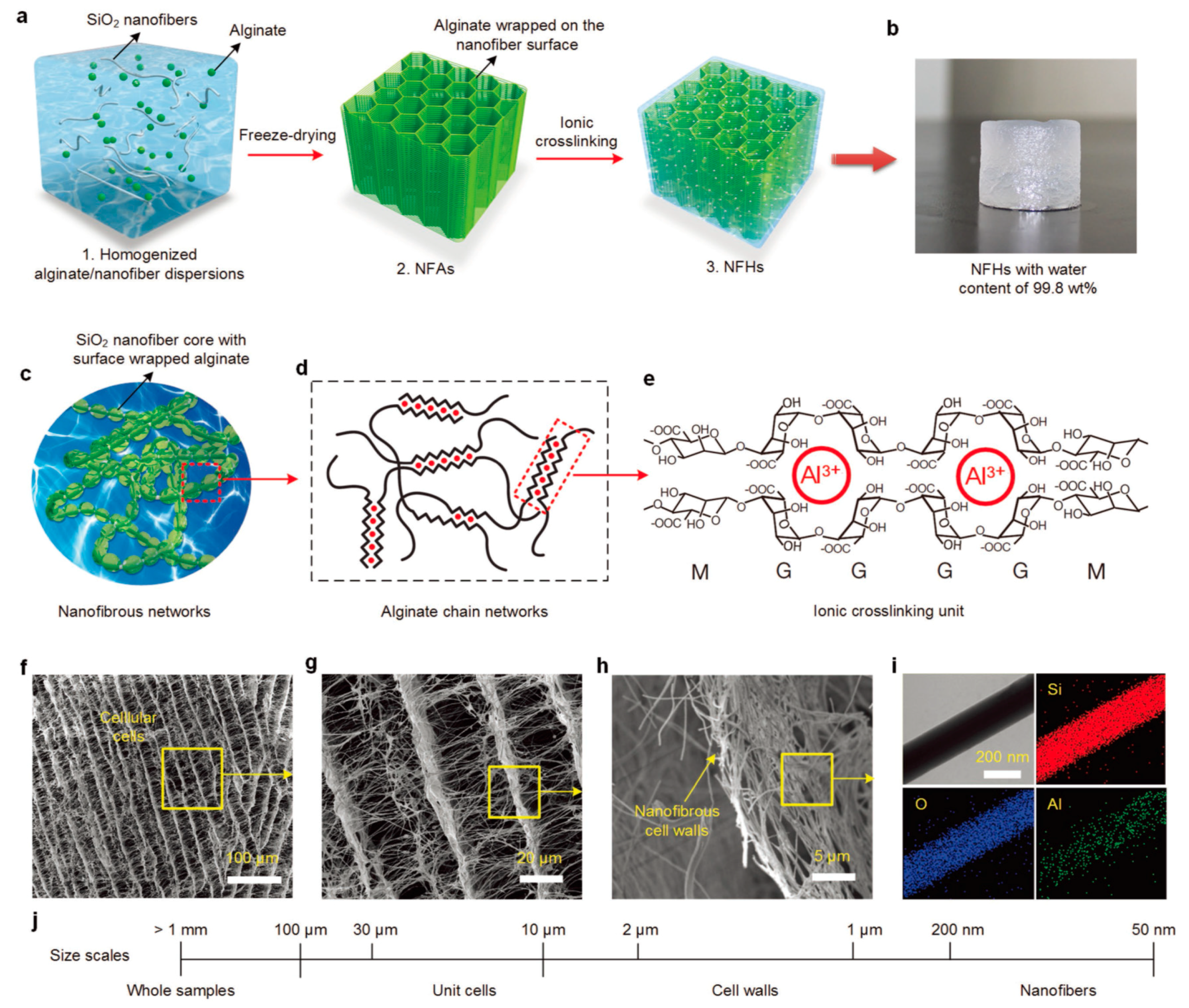 Polymers 10 00551 g016